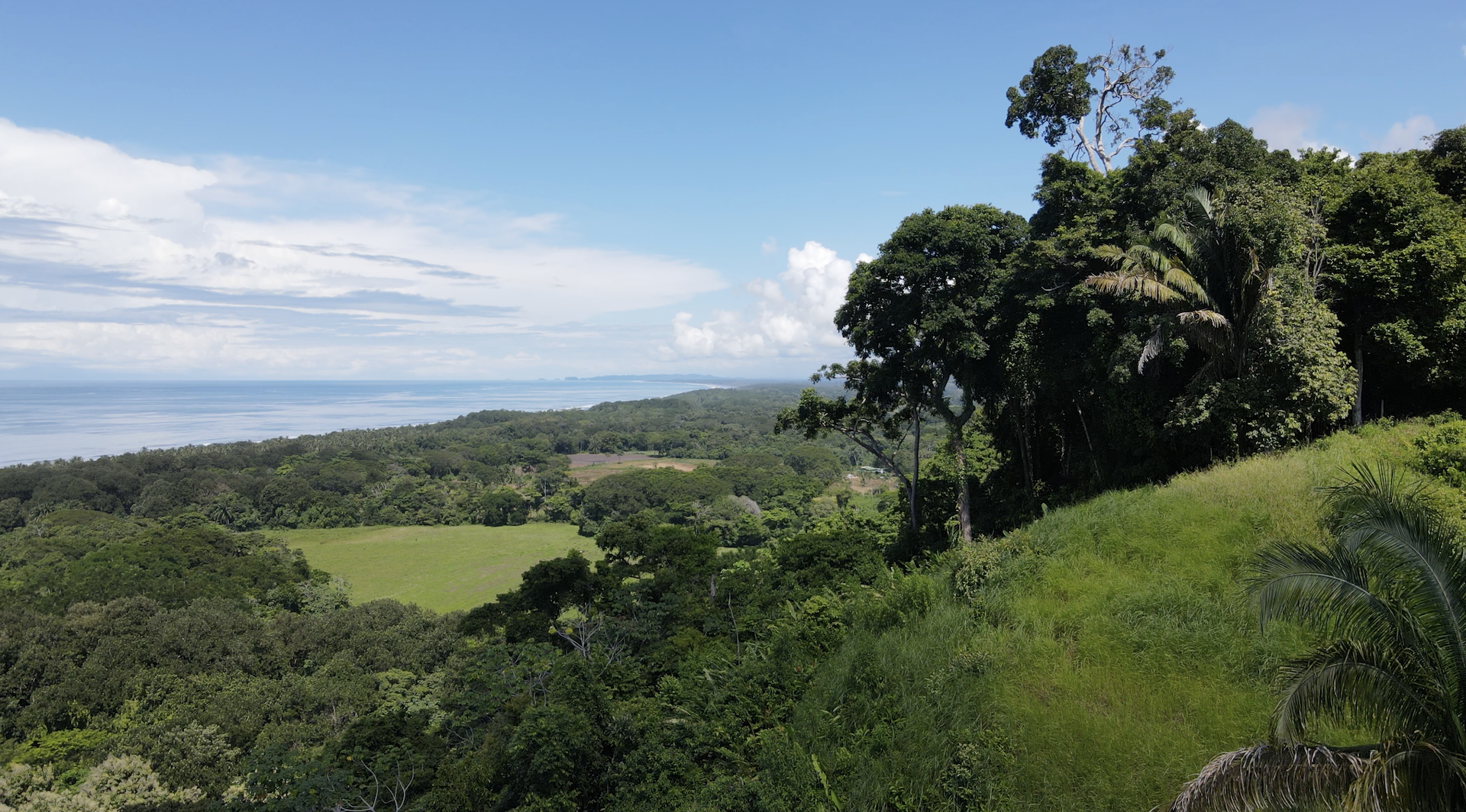 0 bed Land For Sale in Dominical, Puntarenas - thumb 6