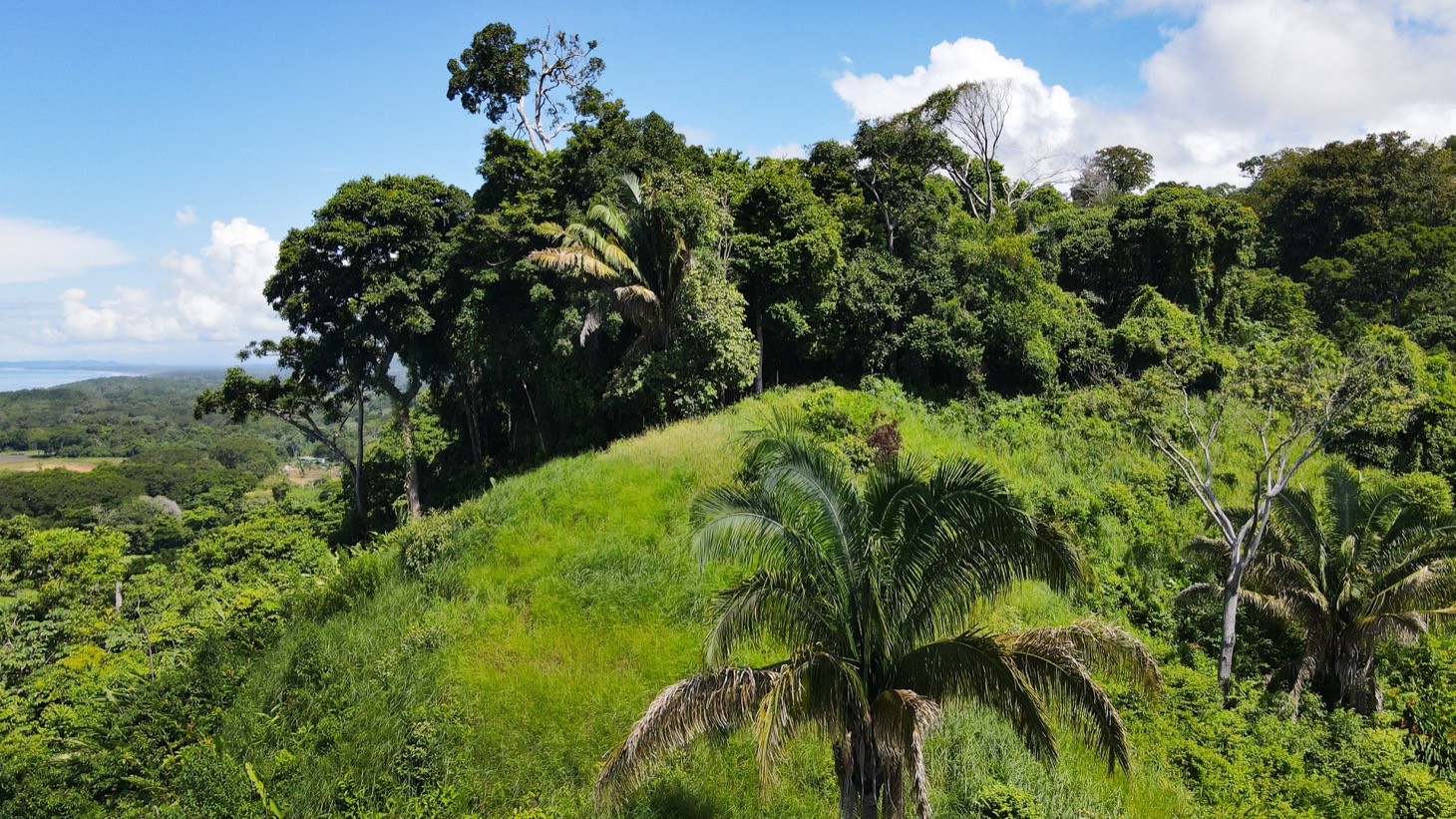 0 bed Land For Sale in Dominical, Puntarenas - thumb 11