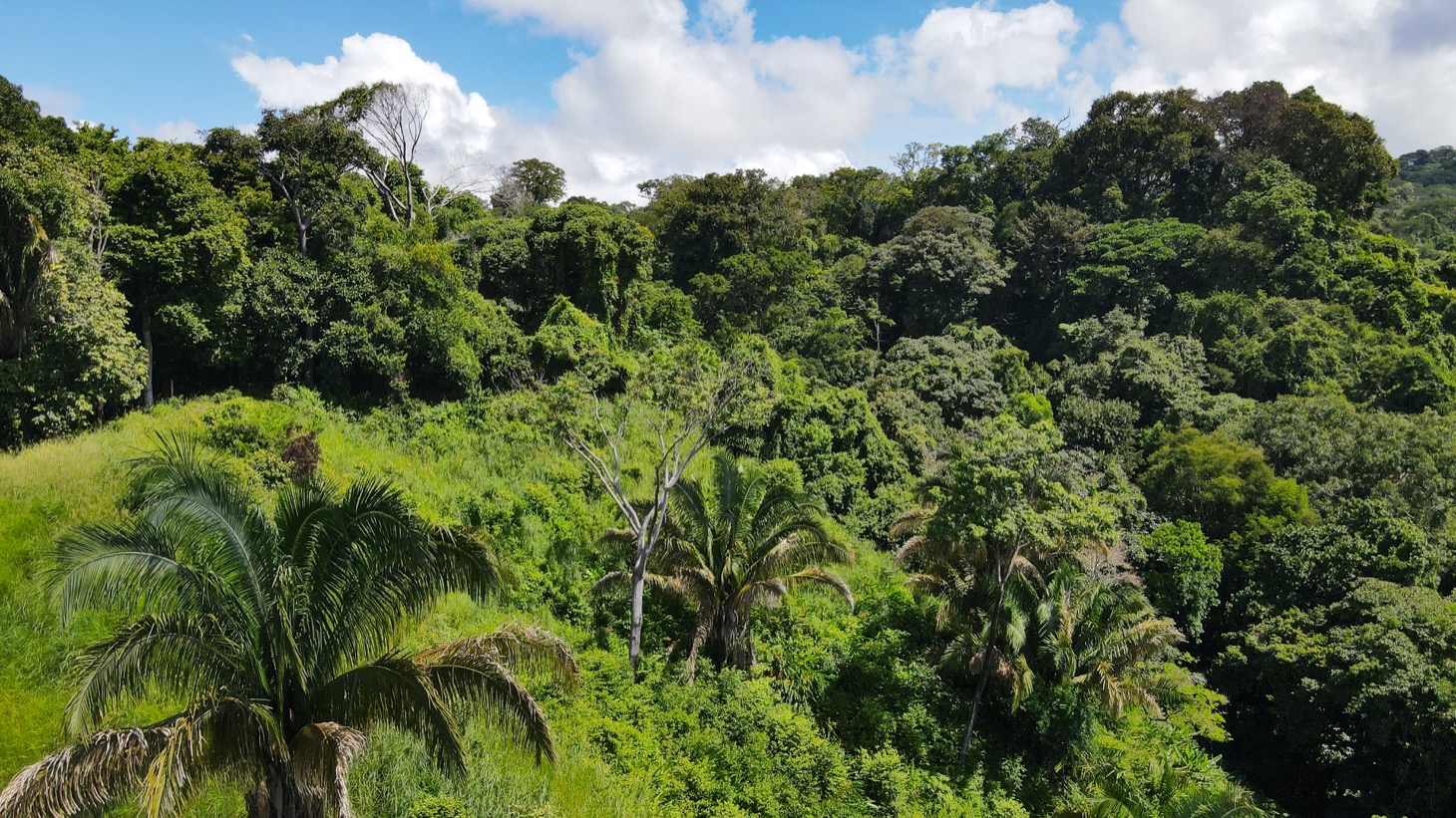 0 bed Land For Sale in Dominical, Puntarenas - thumb 12