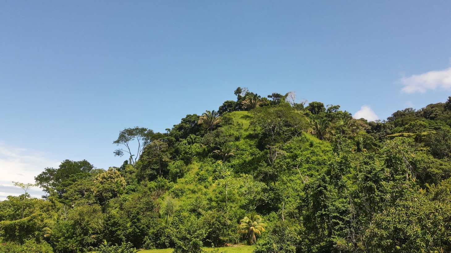 0 bed Land For Sale in Dominical, Puntarenas - thumb 16
