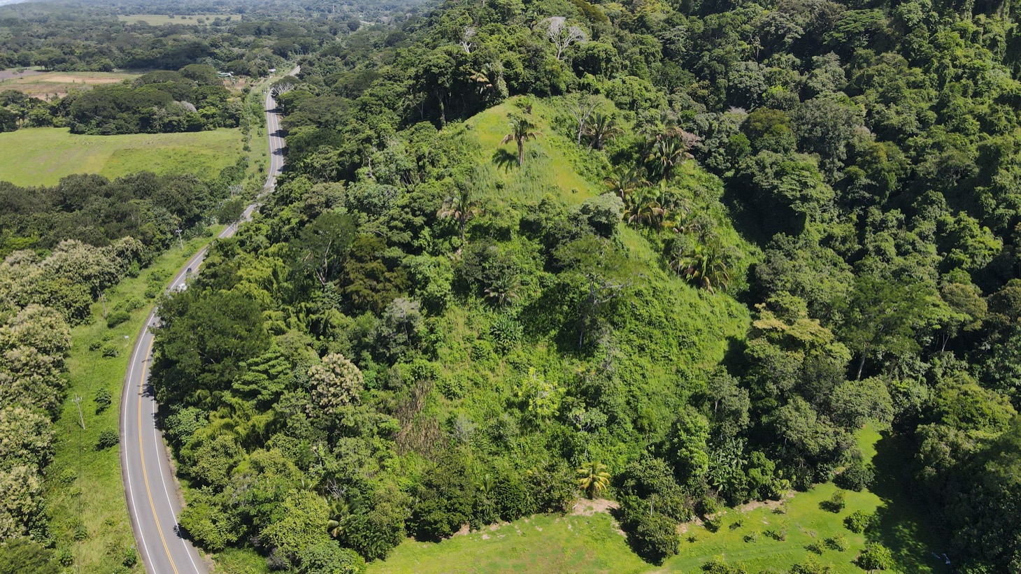 0 bed Land For Sale in Dominical, Puntarenas - thumb 8