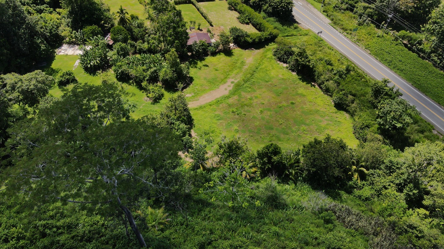 0 bed Land For Sale in Dominical, Puntarenas - thumb 13