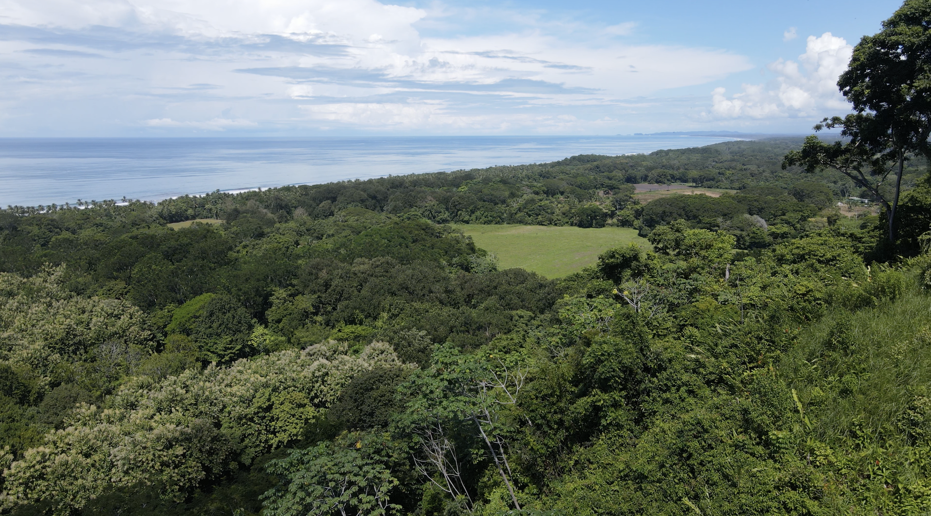 0 bed Land For Sale in Dominical, Puntarenas - thumb 4