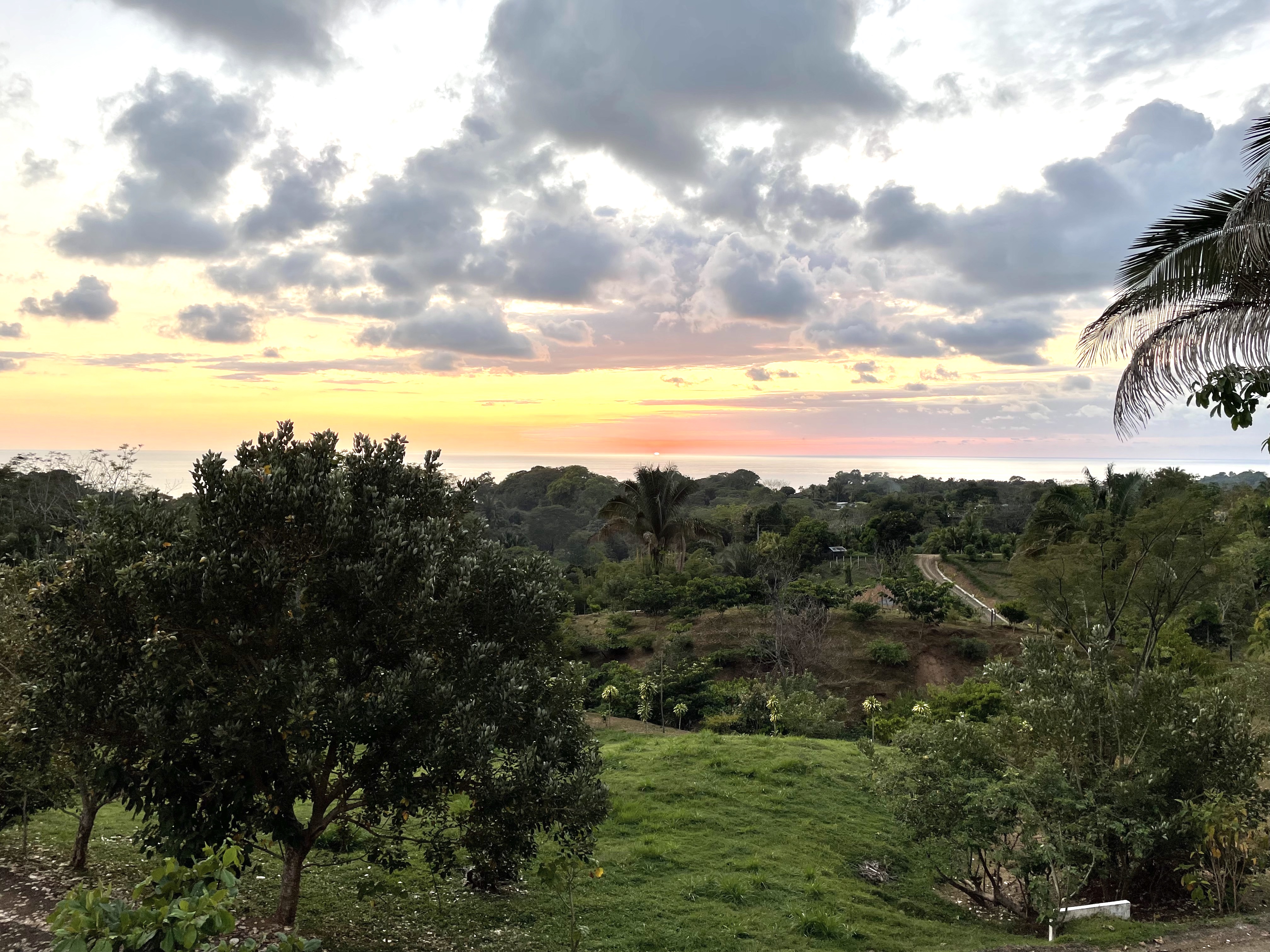 0 bed Land For Sale in Uvita, Puntarenas - thumb 1