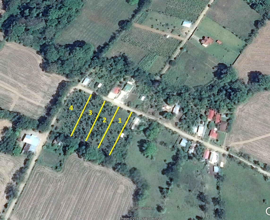 0 bed Land For Sale in Ciudad Cortes, Puntarenas - thumb 1