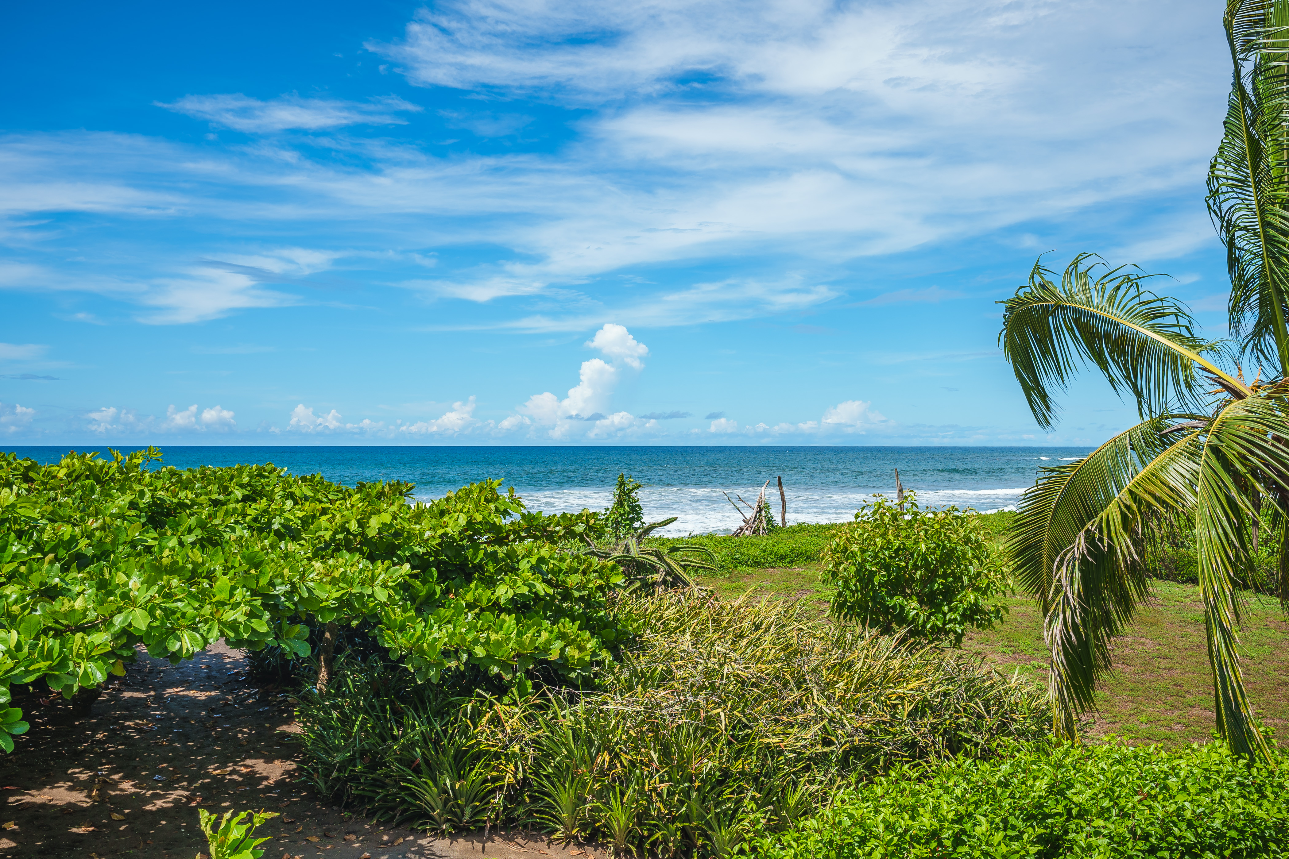 3 bed Single Family Homes For Sale in Junquillal, Guanacaste - thumb 28