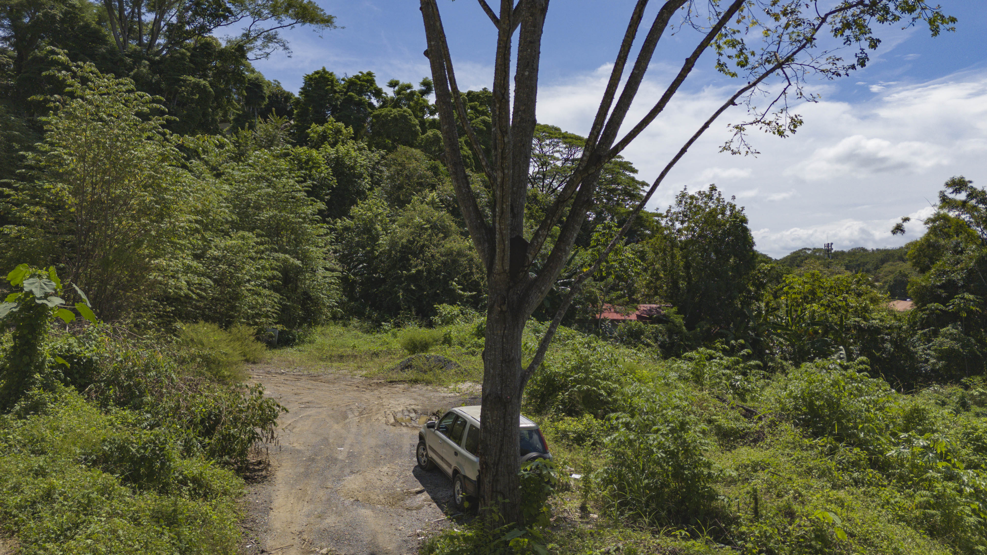 0 bed Land For Sale in Santa Teresa, Puntarenas - thumb 7