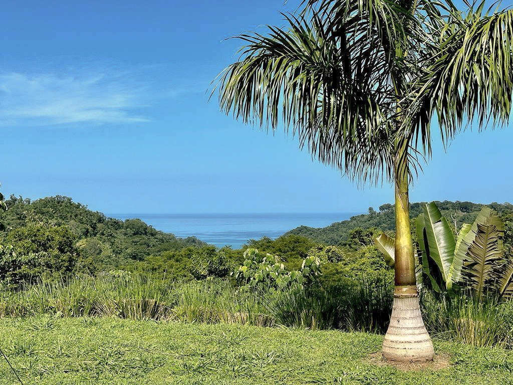 0 bed Land For Sale in Delicias, Puntarenas - thumb 1