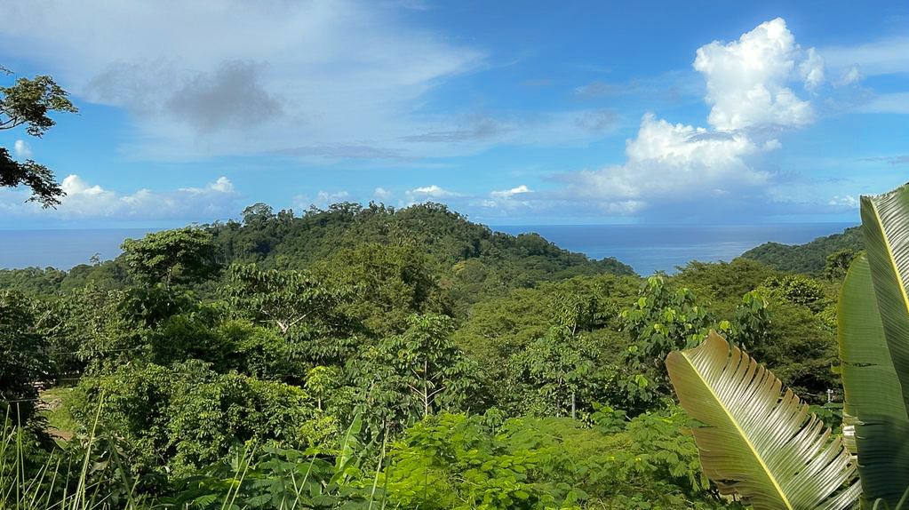 0 bed Land For Sale in Delicias, Puntarenas - thumb 5