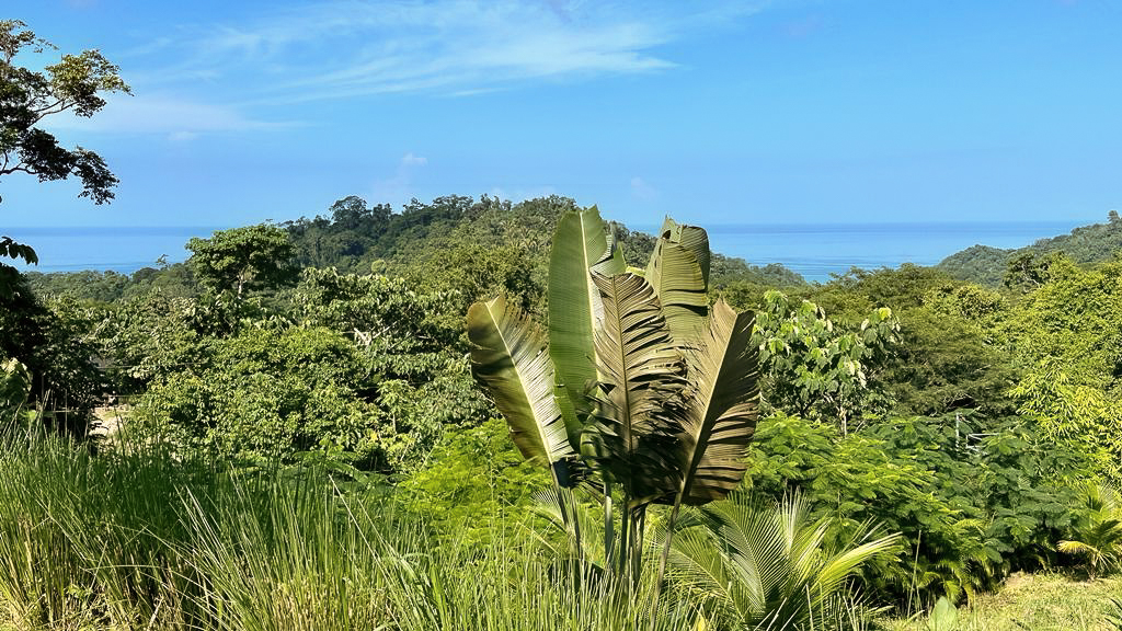 0 bed Land For Sale in Delicias, Puntarenas - thumb 7