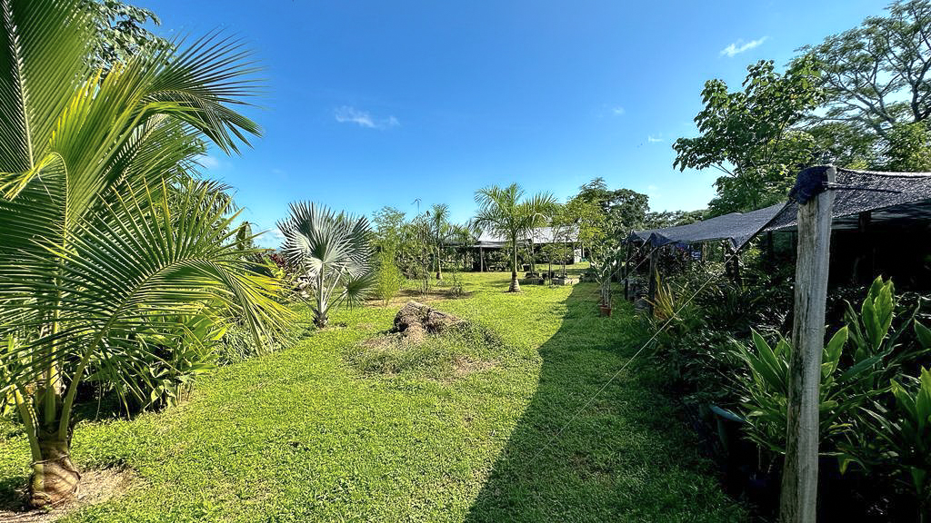 0 bed Land For Sale in Delicias, Puntarenas - thumb 2