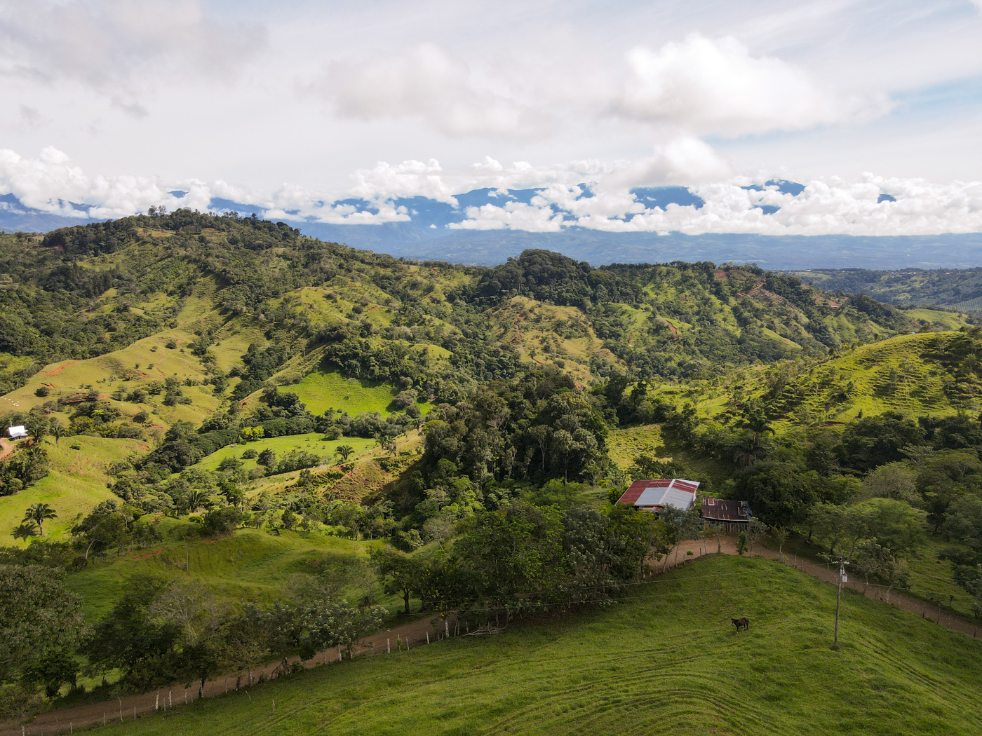 2 bed Single Family Homes For Sale in Perez Zeledon, San Jose - thumb 16