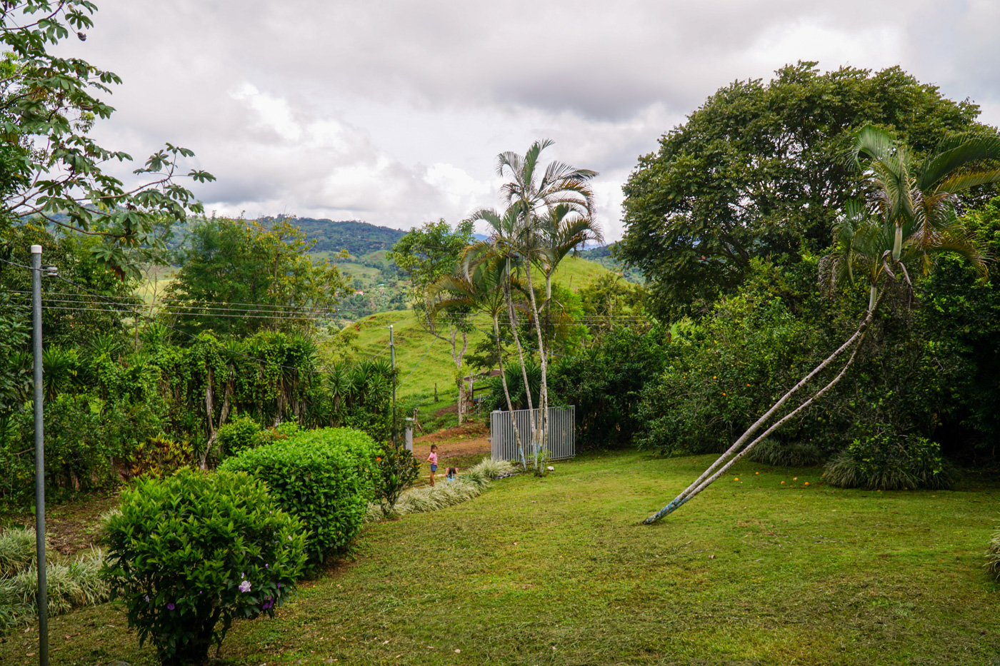 2 bed Single Family Homes For Sale in Perez Zeledon, San Jose - thumb 29