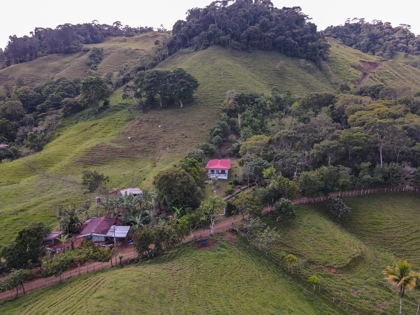 2 bed Single Family Homes For Sale in Perez Zeledon, San Jose - thumb 17