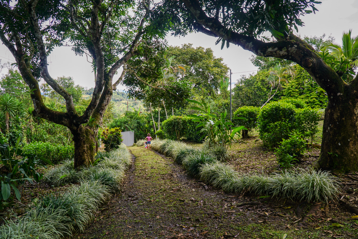 2 bed Single Family Homes For Sale in Perez Zeledon, San Jose - thumb 25