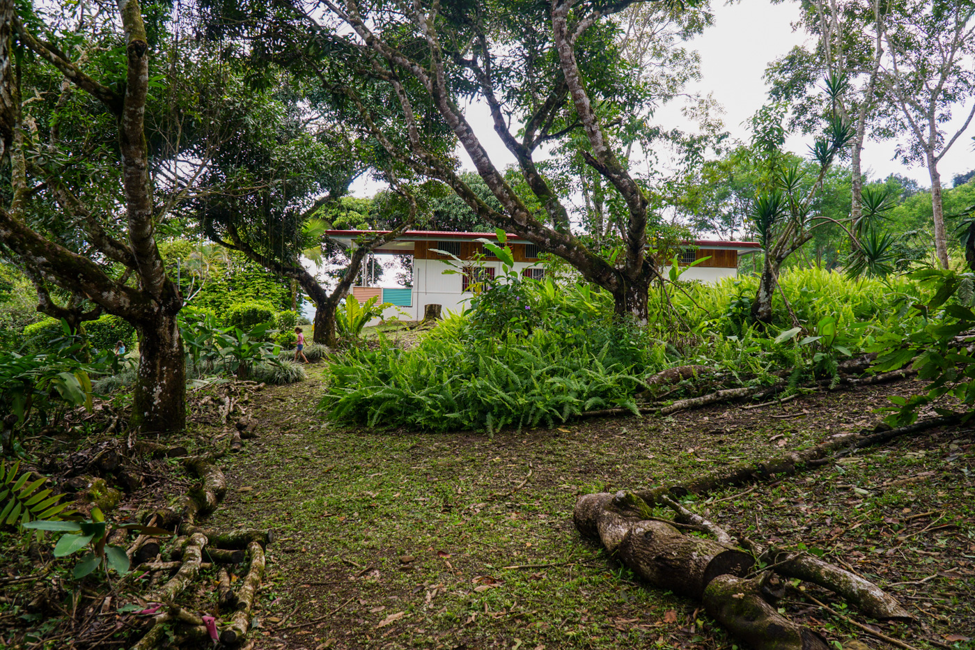 2 bed Single Family Homes For Sale in Perez Zeledon, San Jose - thumb 23