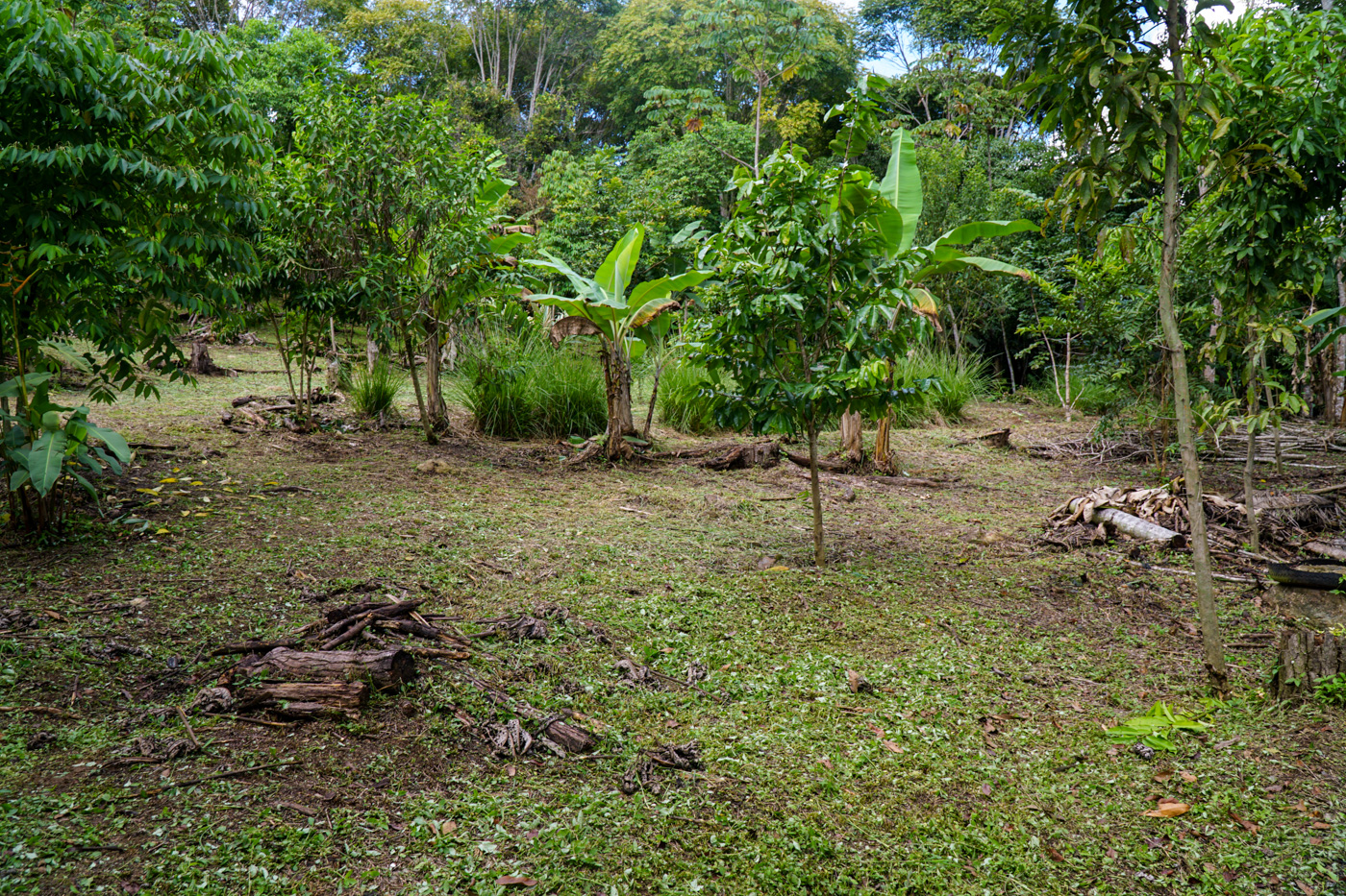 2 bed Single Family Homes For Sale in Perez Zeledon, San Jose - thumb 21