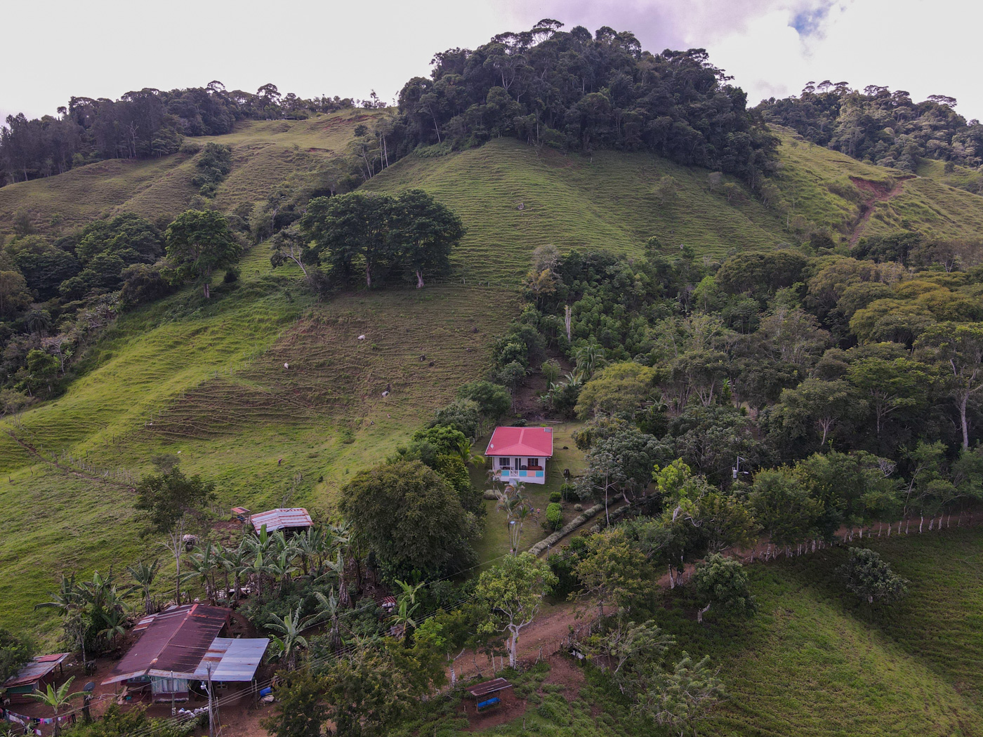 2 bed Single Family Homes For Sale in Perez Zeledon, San Jose - thumb 4