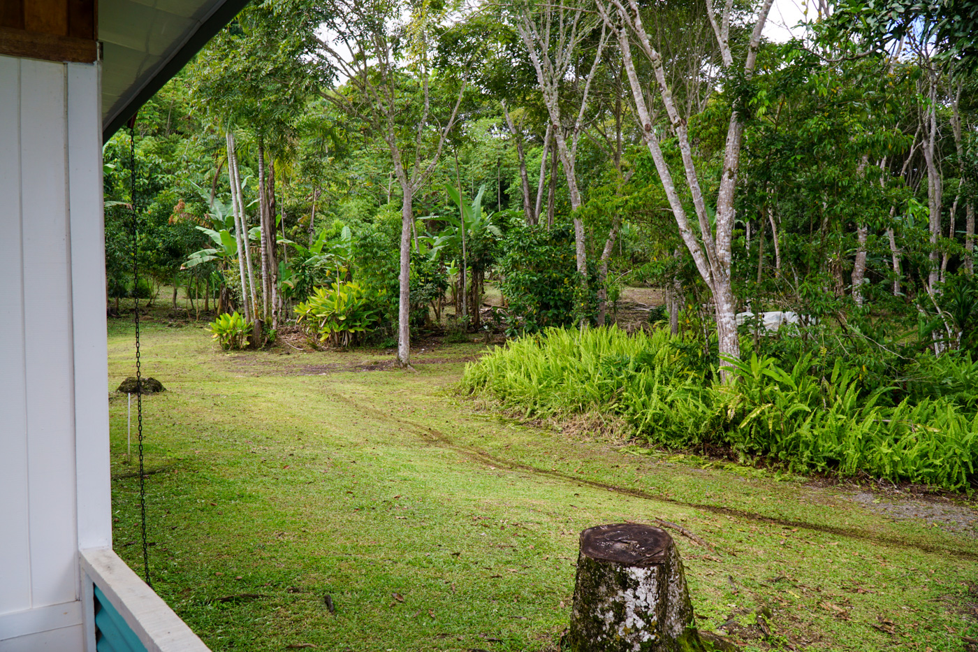 2 bed Single Family Homes For Sale in Perez Zeledon, San Jose - thumb 28