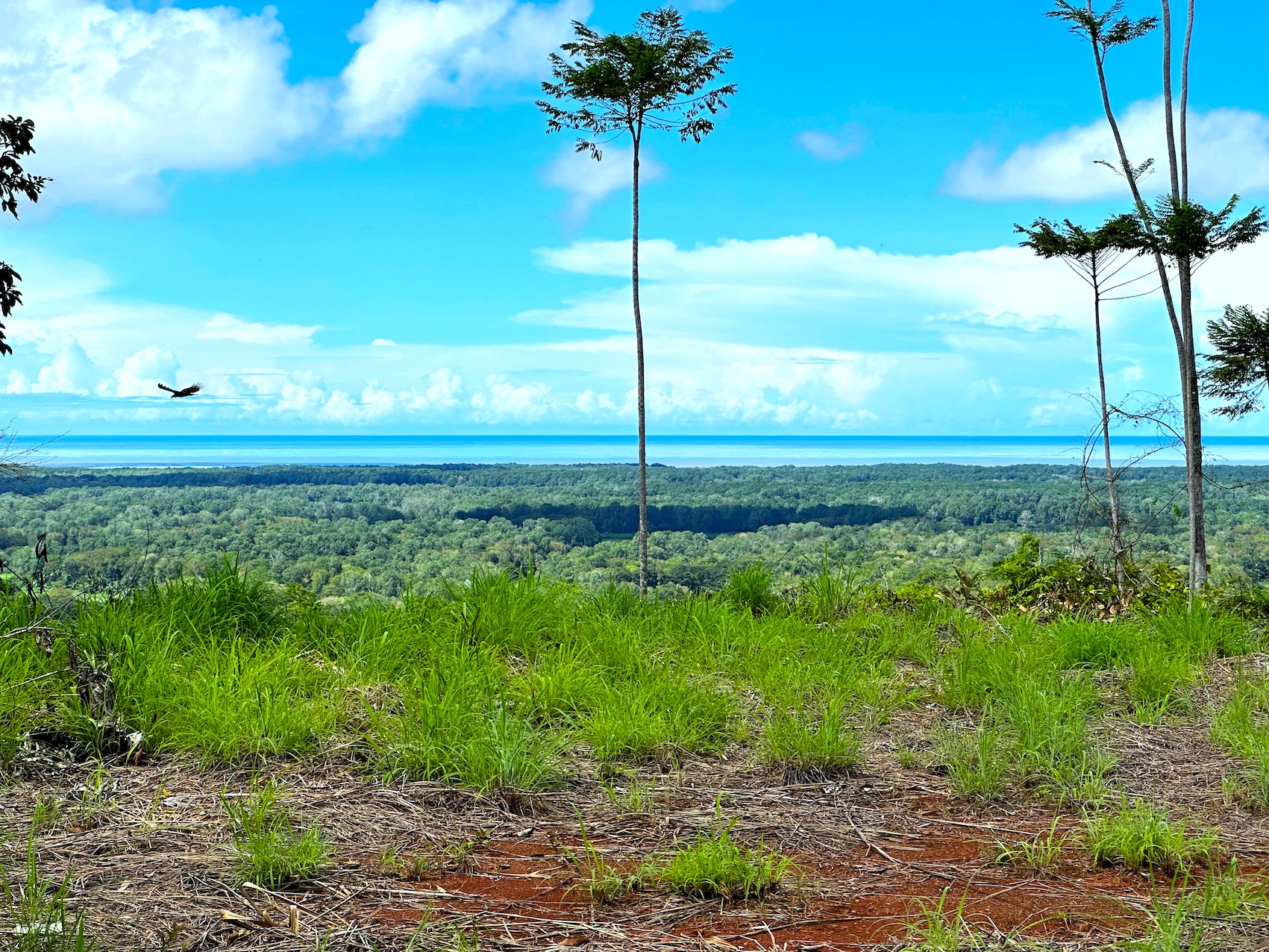 0 bed Land For Sale in Ojochal, Puntarenas - thumb 10