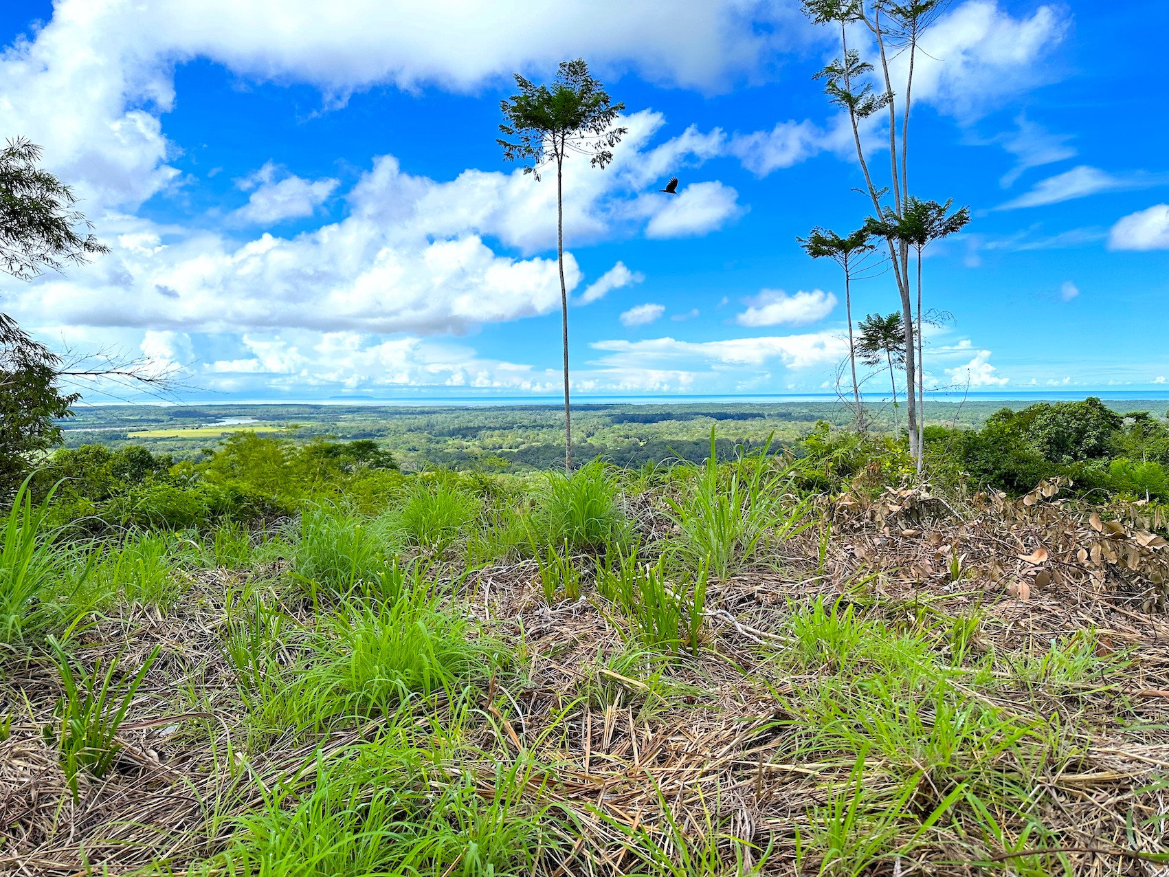 0 bed Land For Sale in Ojochal, Puntarenas - thumb 1