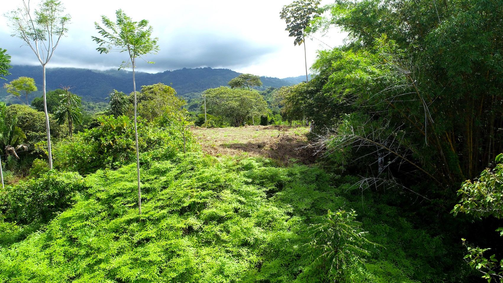 0 bed Land For Sale in Ojochal, Puntarenas - thumb 6