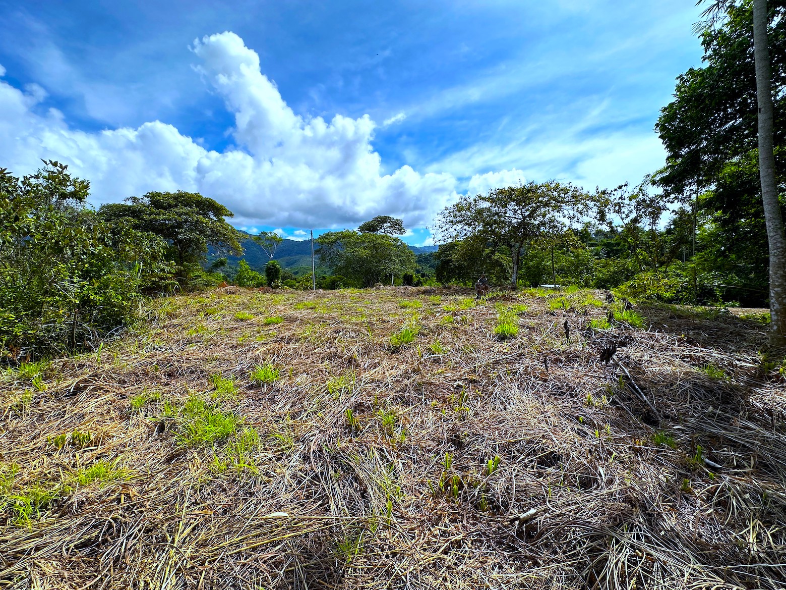0 bed Land For Sale in Ojochal, Puntarenas - thumb 4