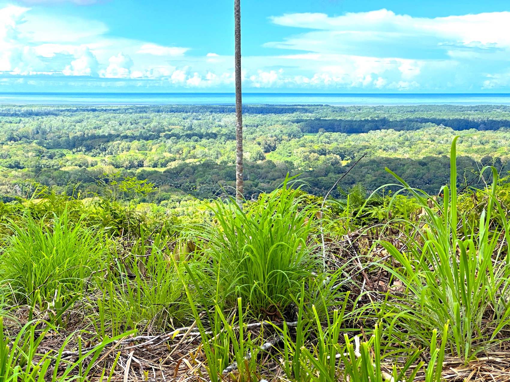 0 bed Land For Sale in Ojochal, Puntarenas - thumb 5