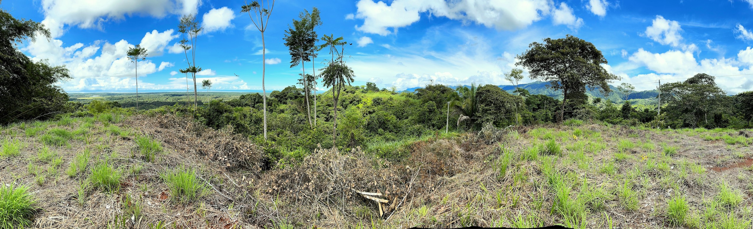 0 bed Land For Sale in Ojochal, Puntarenas - thumb 11