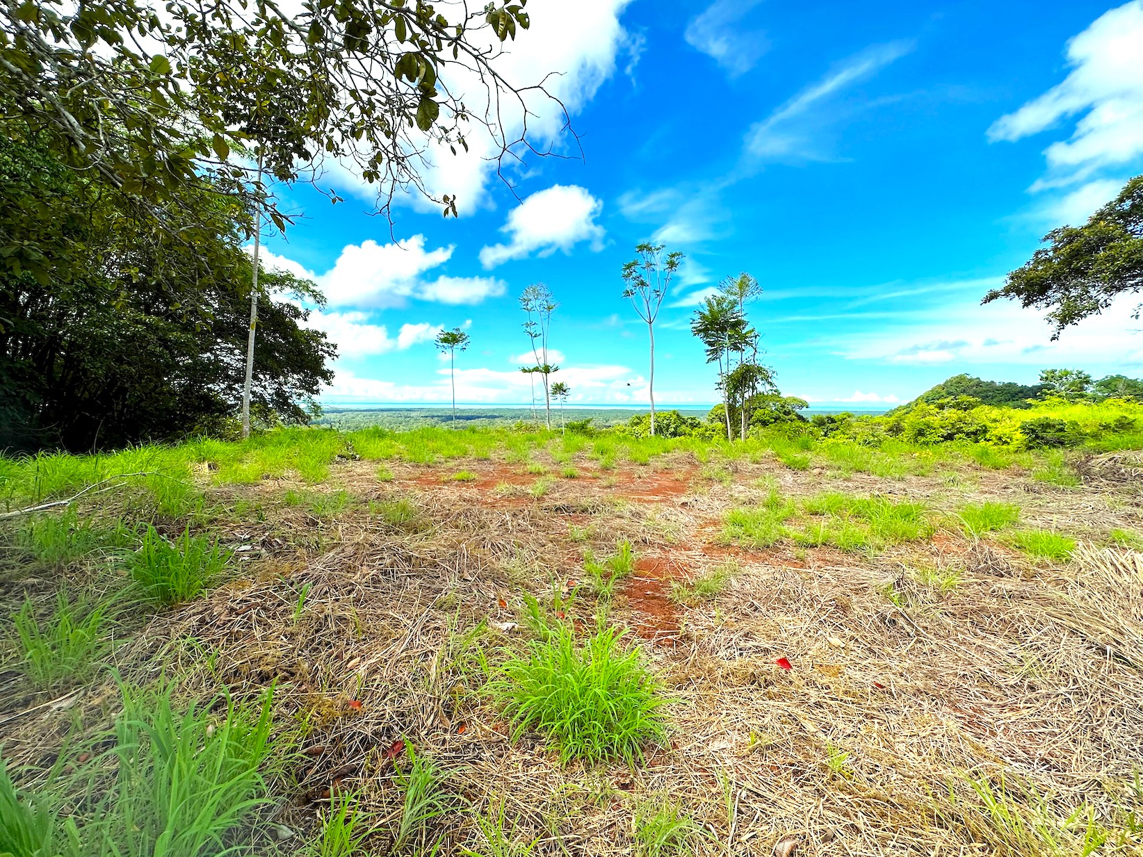 0 bed Land For Sale in Ojochal, Puntarenas - thumb 13