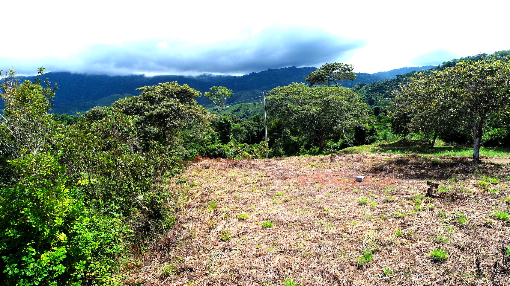 0 bed Land For Sale in Ojochal, Puntarenas - thumb 7