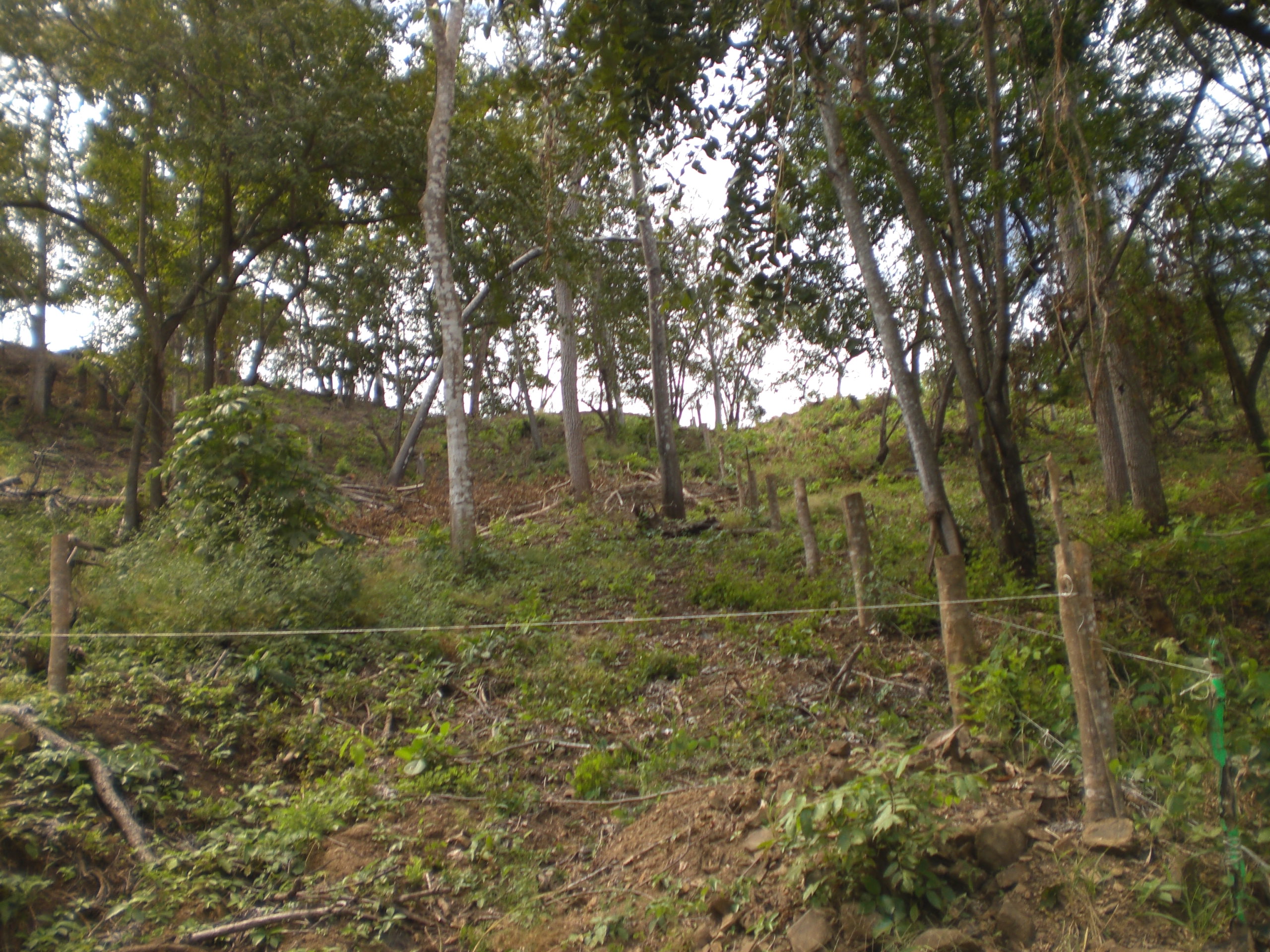 0 bed Land For Sale in Playa Blanca, Puntarenas - thumb 6