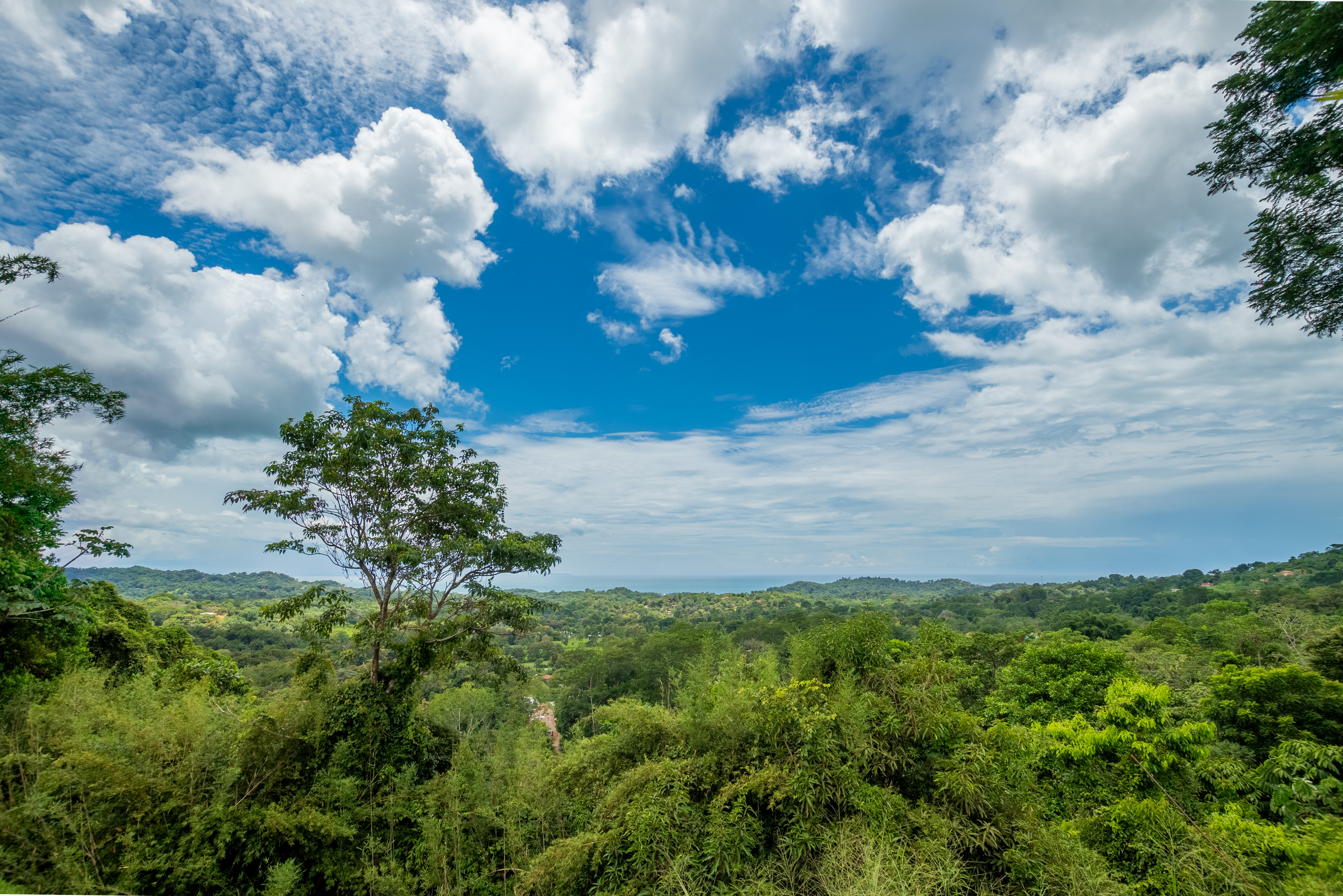 3 bed Single Family Homes For Sale in Ojochal, Puntarenas - thumb 2