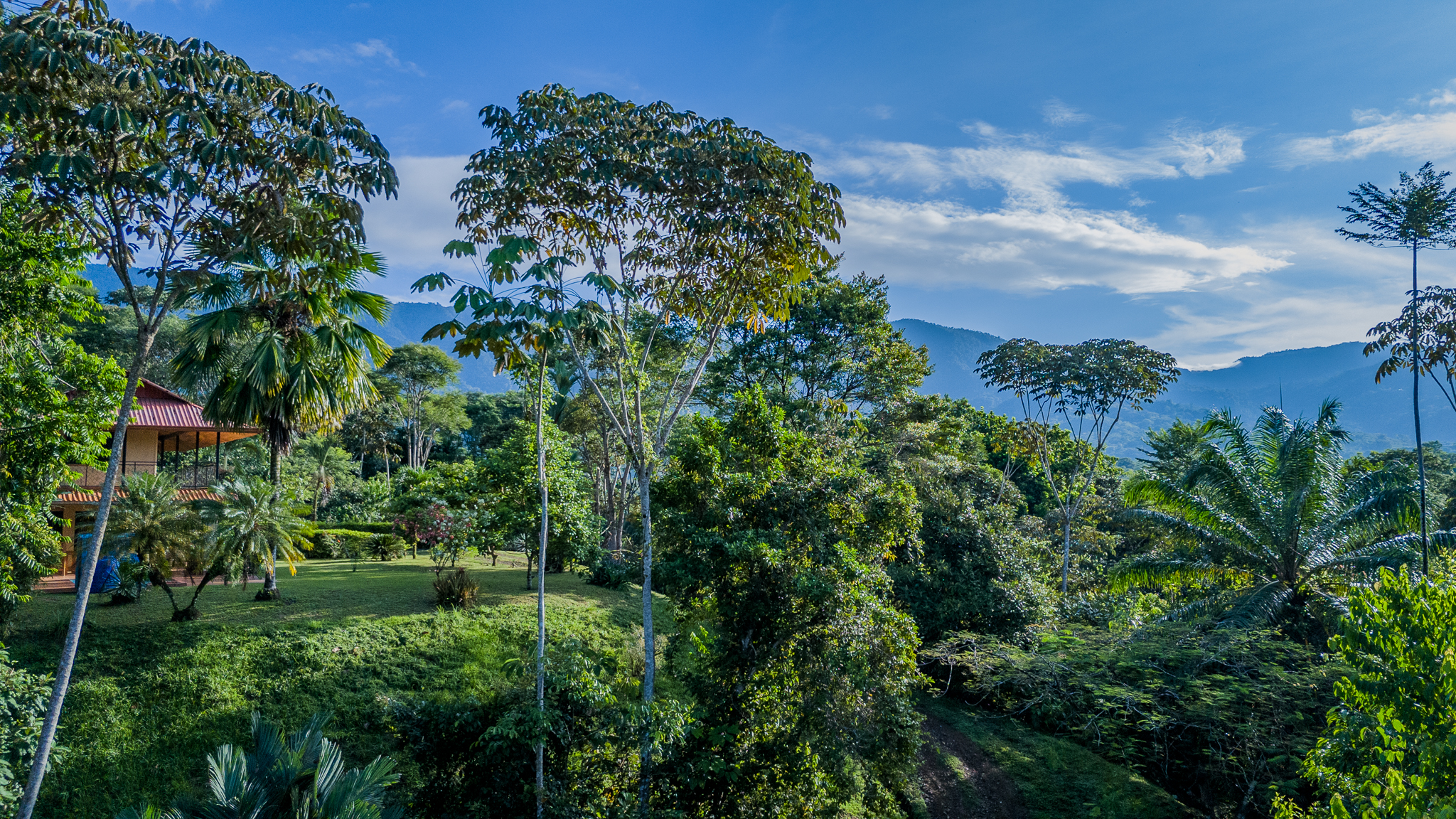 2 bed Single Family Homes For Sale in Ojochal, Puntarenas - thumb 15