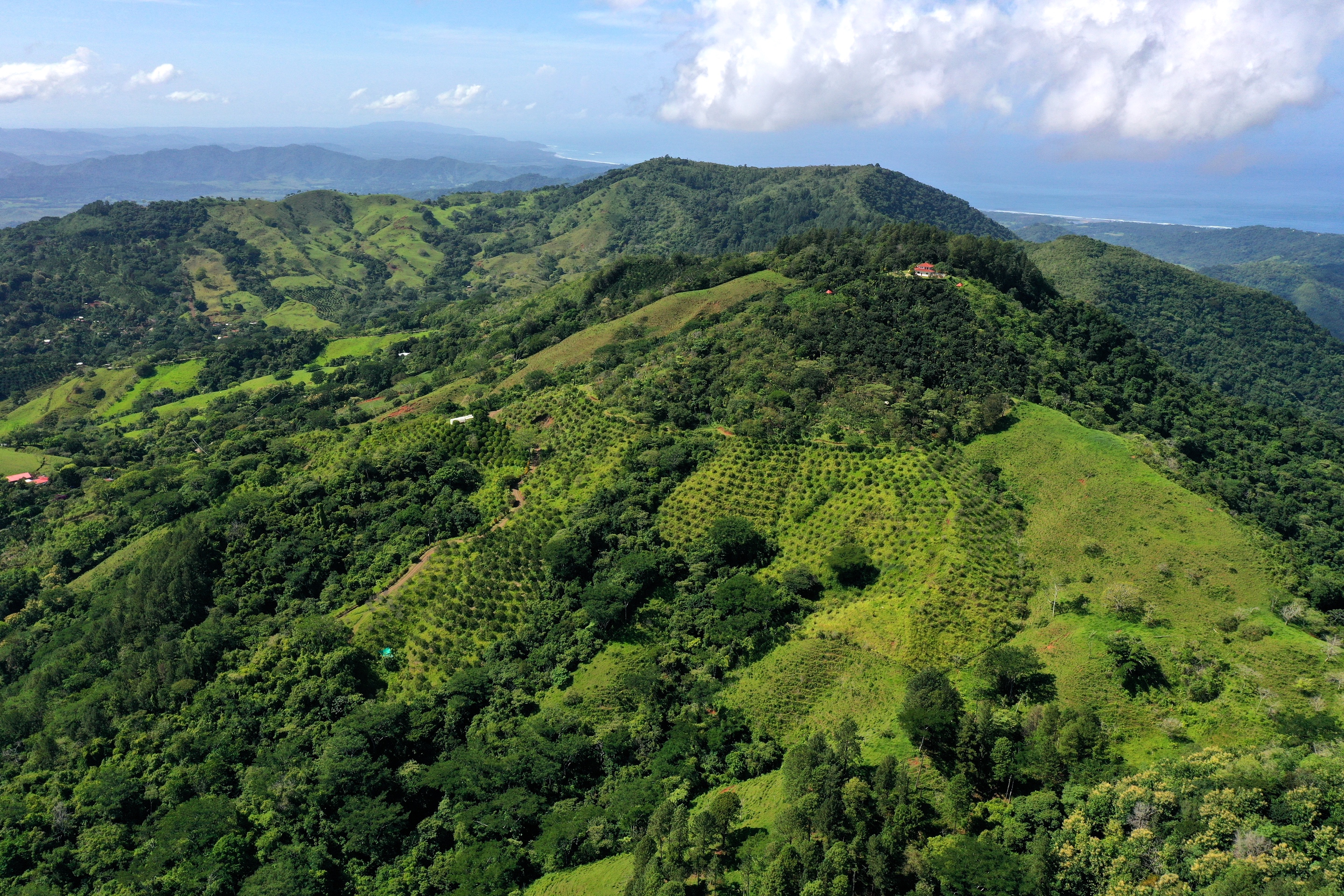 5 bed Single Family Homes For Sale in Nicoya Peninsula, Guanacaste - thumb 14