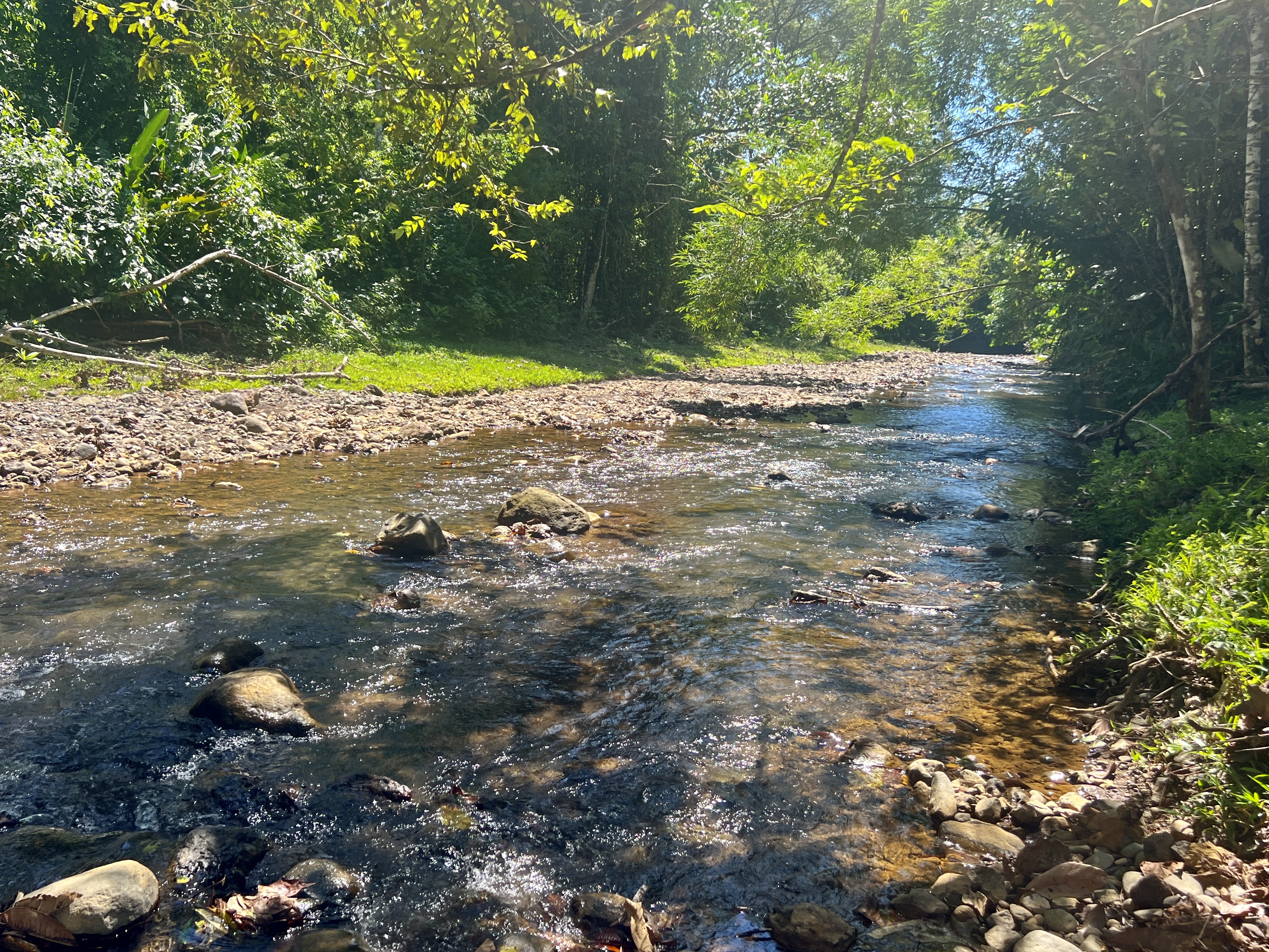 0 bed Land For Sale in Parrita, Puntarenas - thumb 21