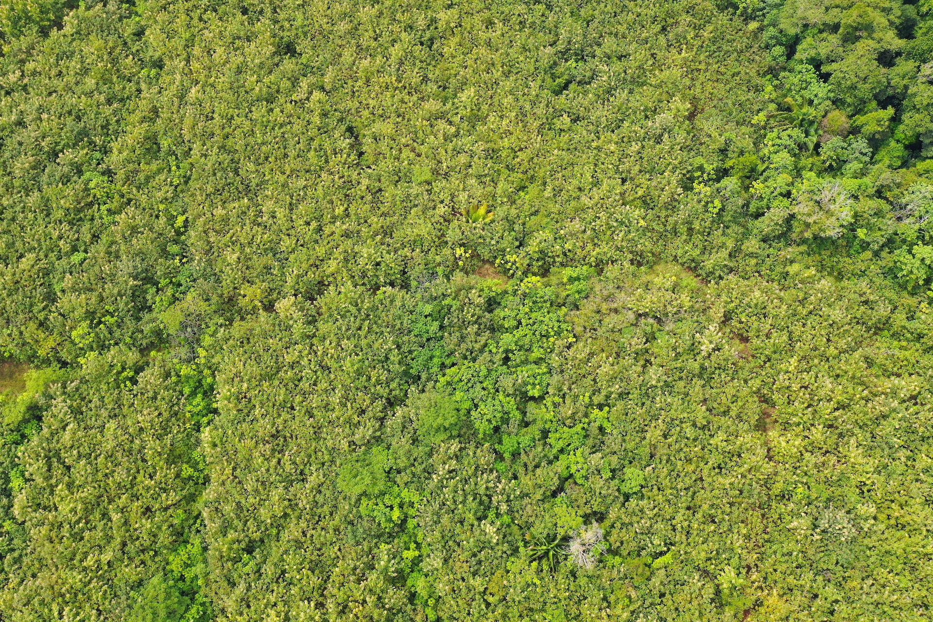 0 bed Land For Sale in Parrita, Puntarenas - thumb 8