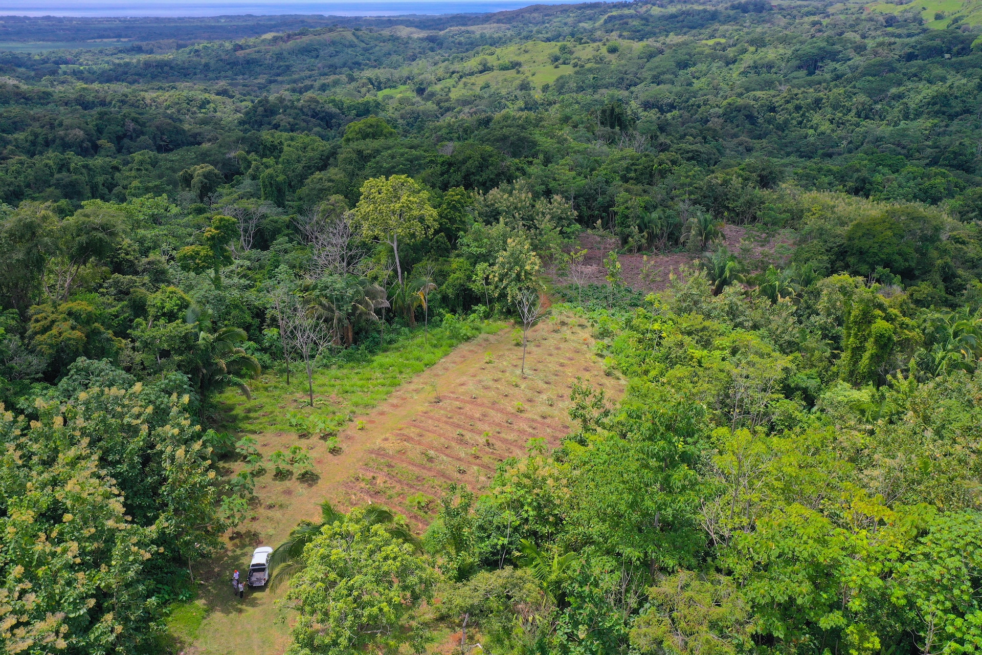 0 bed Land For Sale in Parrita, Puntarenas - thumb 3