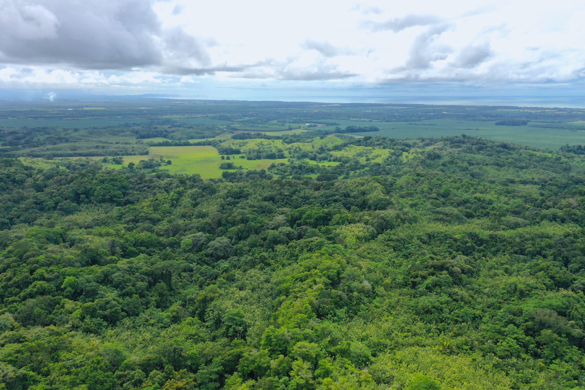 0 bed Land For Sale in Parrita, Puntarenas - thumb 7