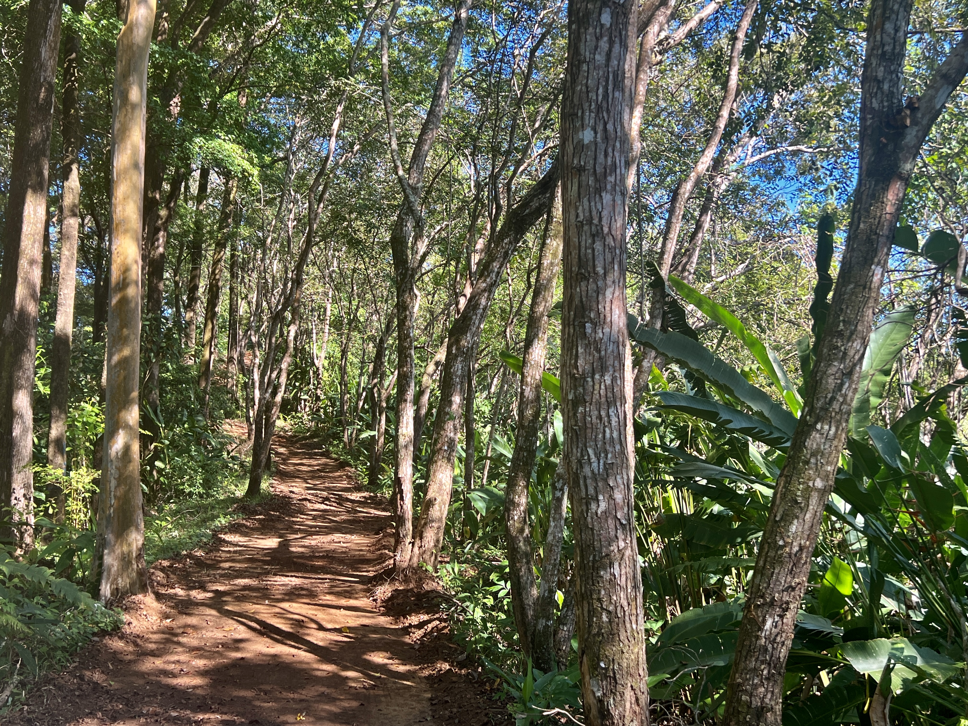 0 bed Land For Sale in Parrita, Puntarenas - thumb 18