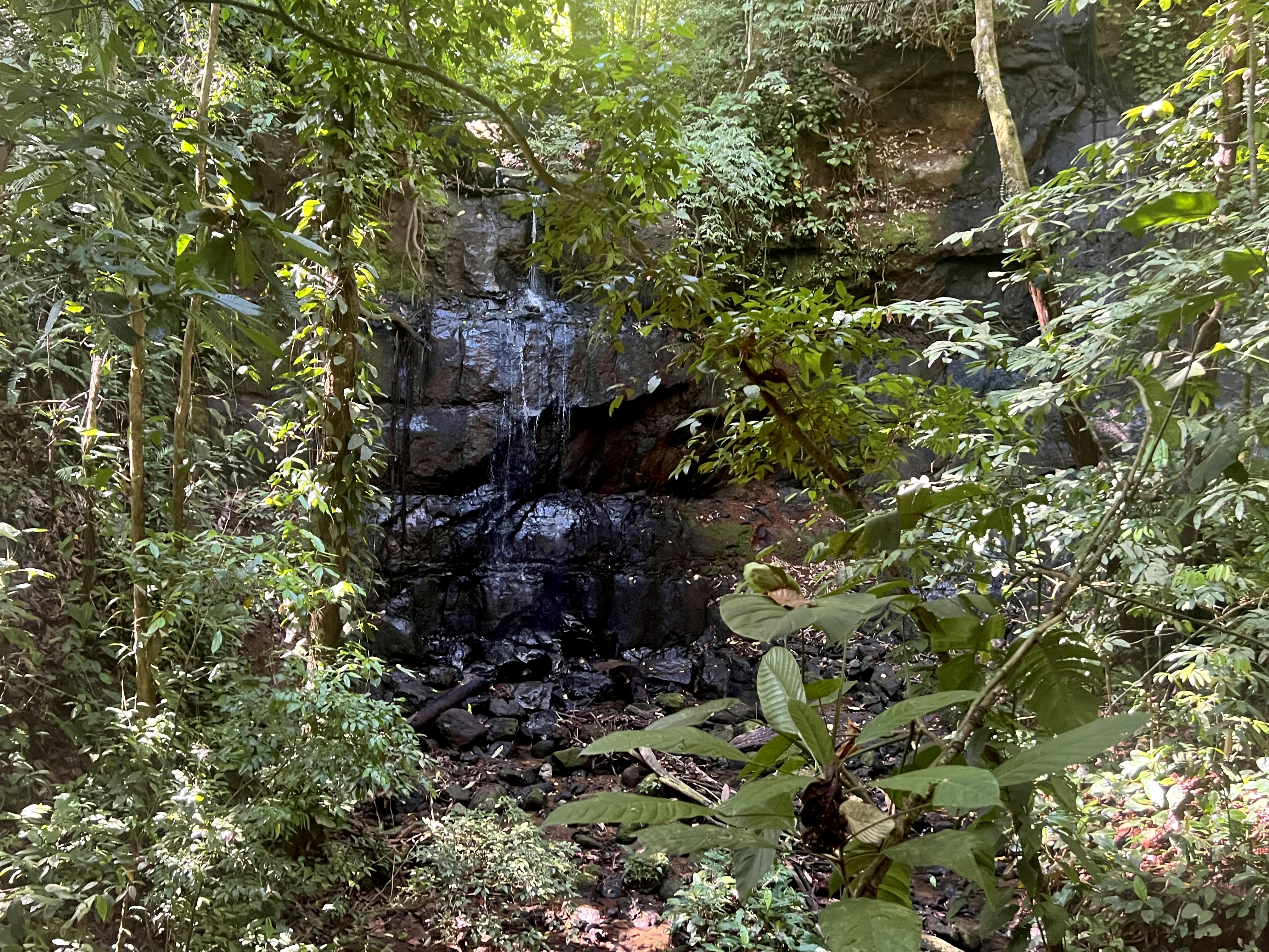 0 bed Land For Sale in Parrita, Puntarenas - thumb 19