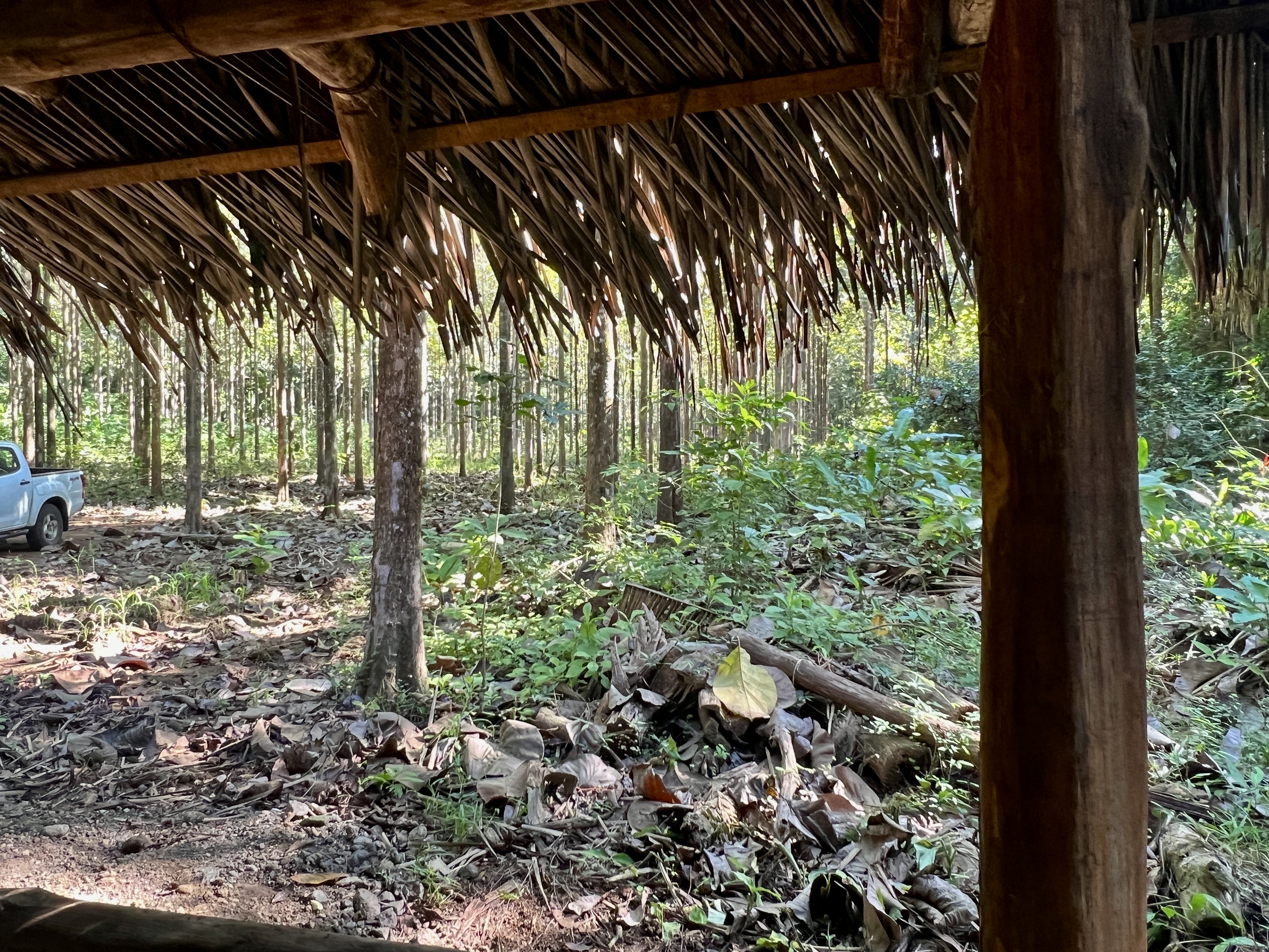 0 bed Land For Sale in Parrita, Puntarenas - thumb 14