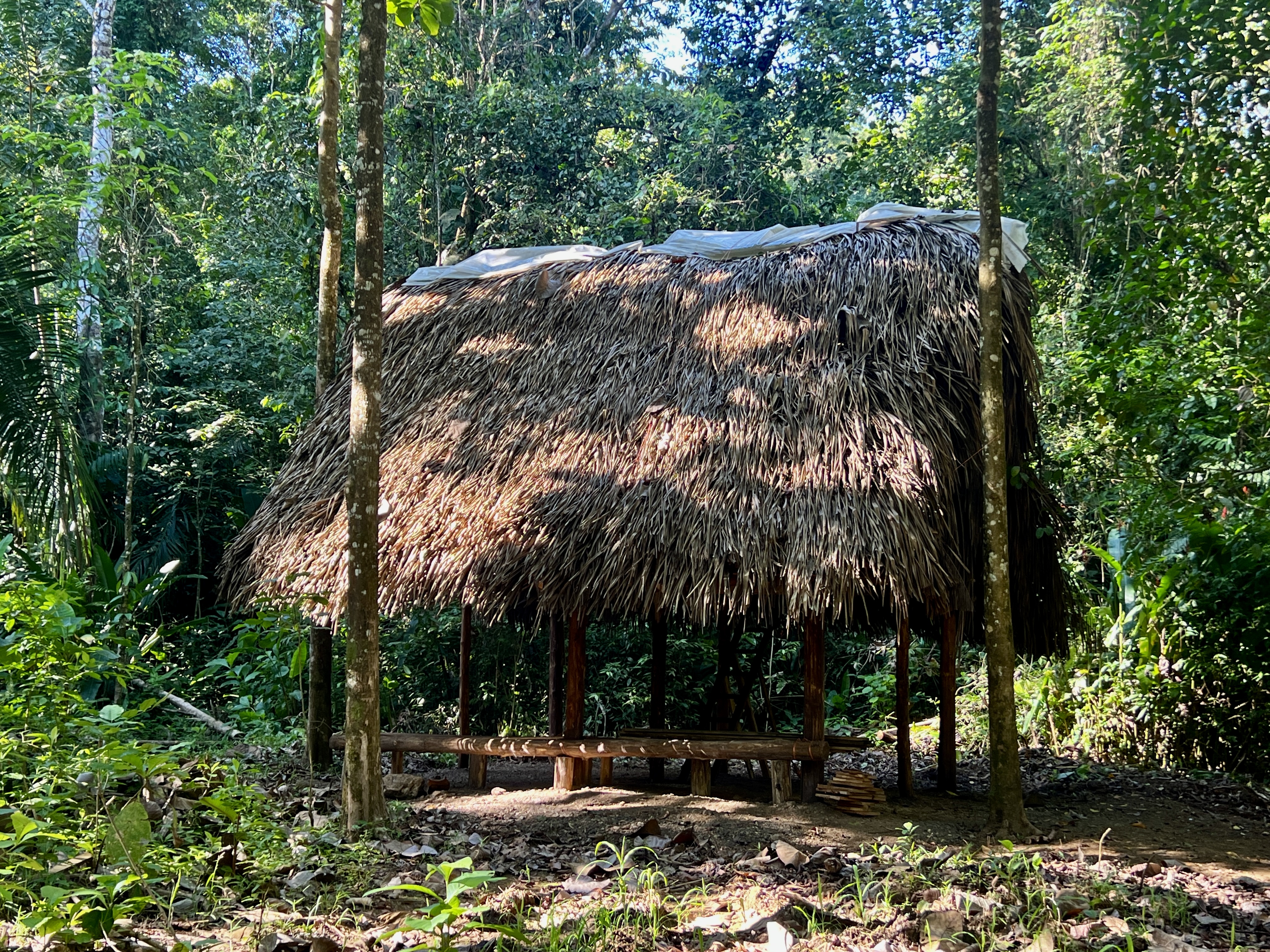 0 bed Land For Sale in Parrita, Puntarenas - thumb 17