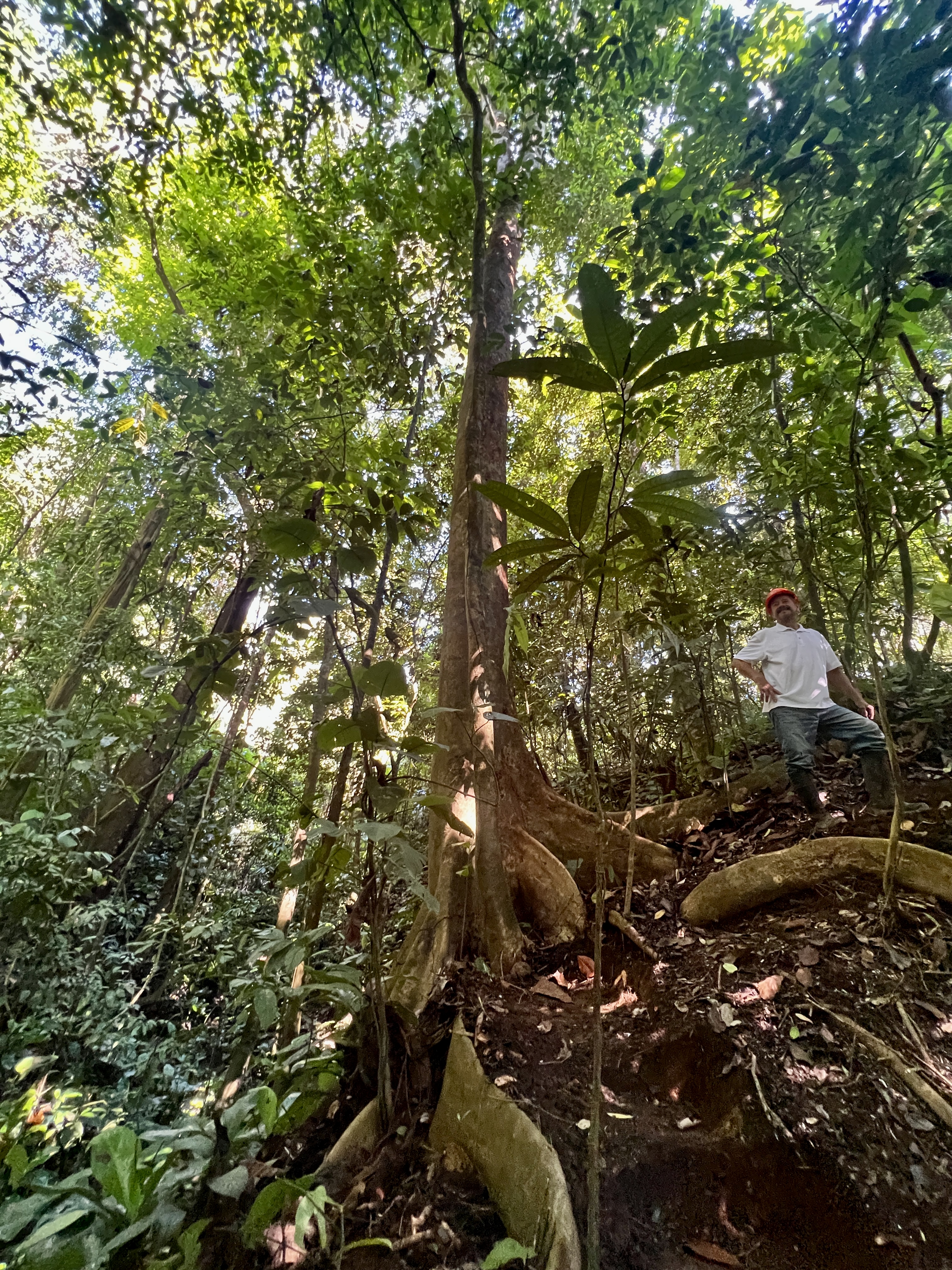 0 bed Land For Sale in Parrita, Puntarenas - thumb 20