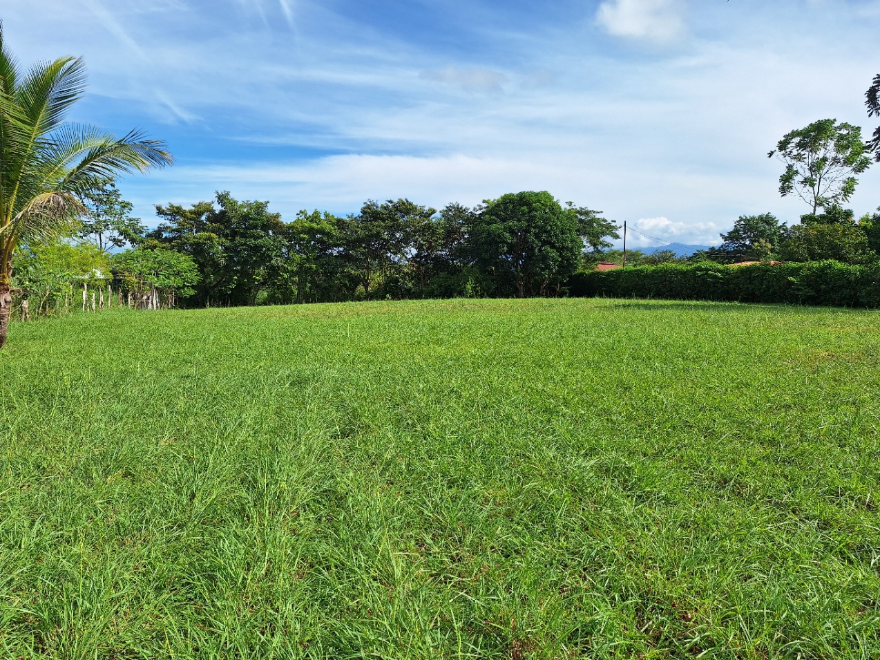 0 bed Land For Sale in Orotina, Alajuela - thumb 7