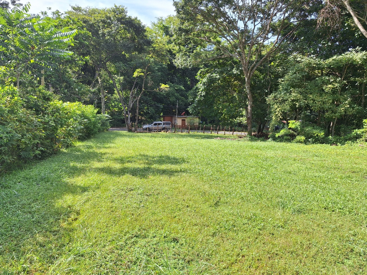 0 bed Land For Sale in Orotina, Alajuela - thumb 4