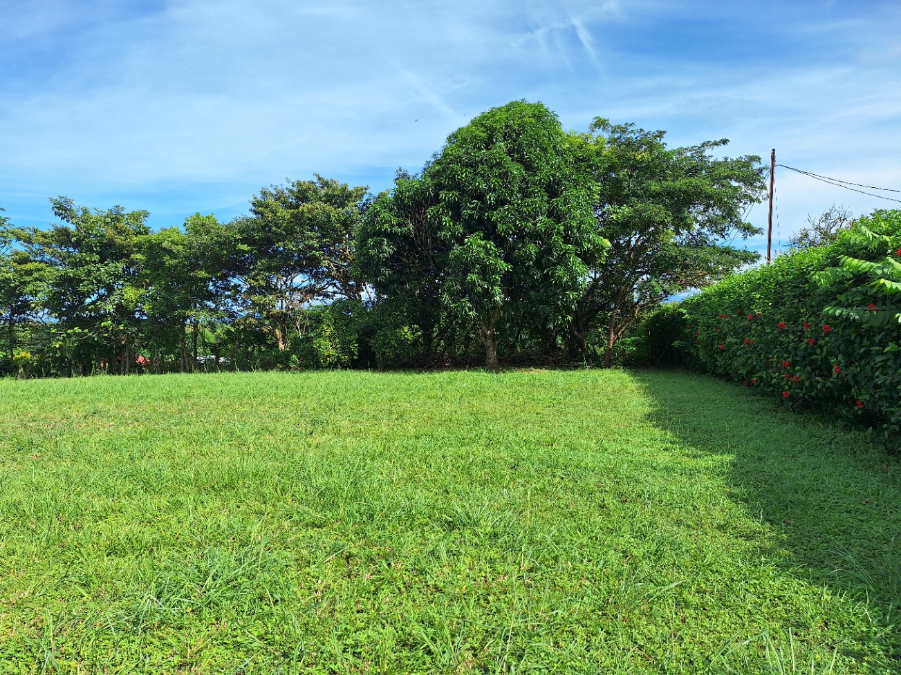 0 bed Land For Sale in Orotina, Alajuela - thumb 9