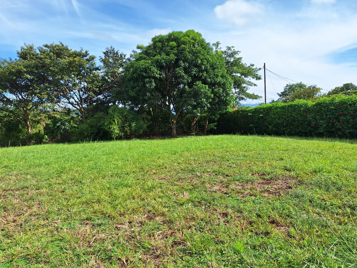 0 bed Land For Sale in Orotina, Alajuela - thumb 8