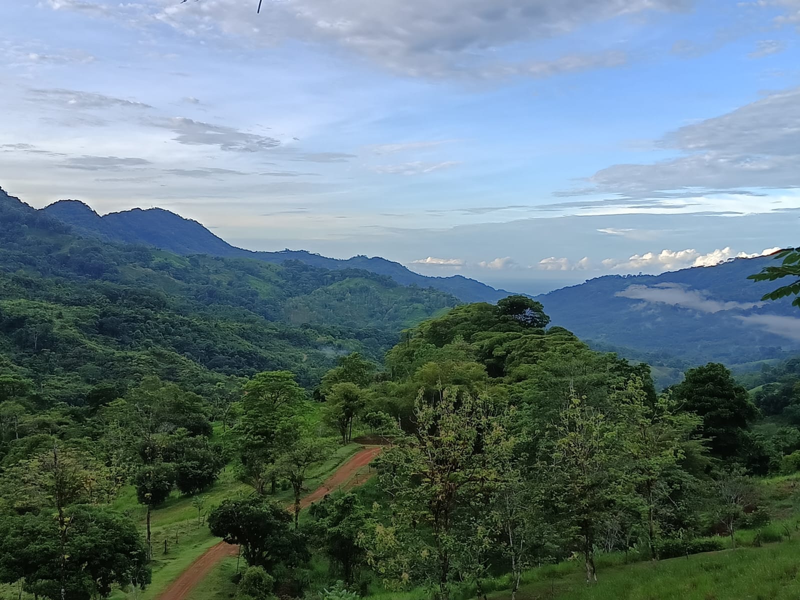 0 bed Land For Sale in Dominical, Puntarenas - thumb 6