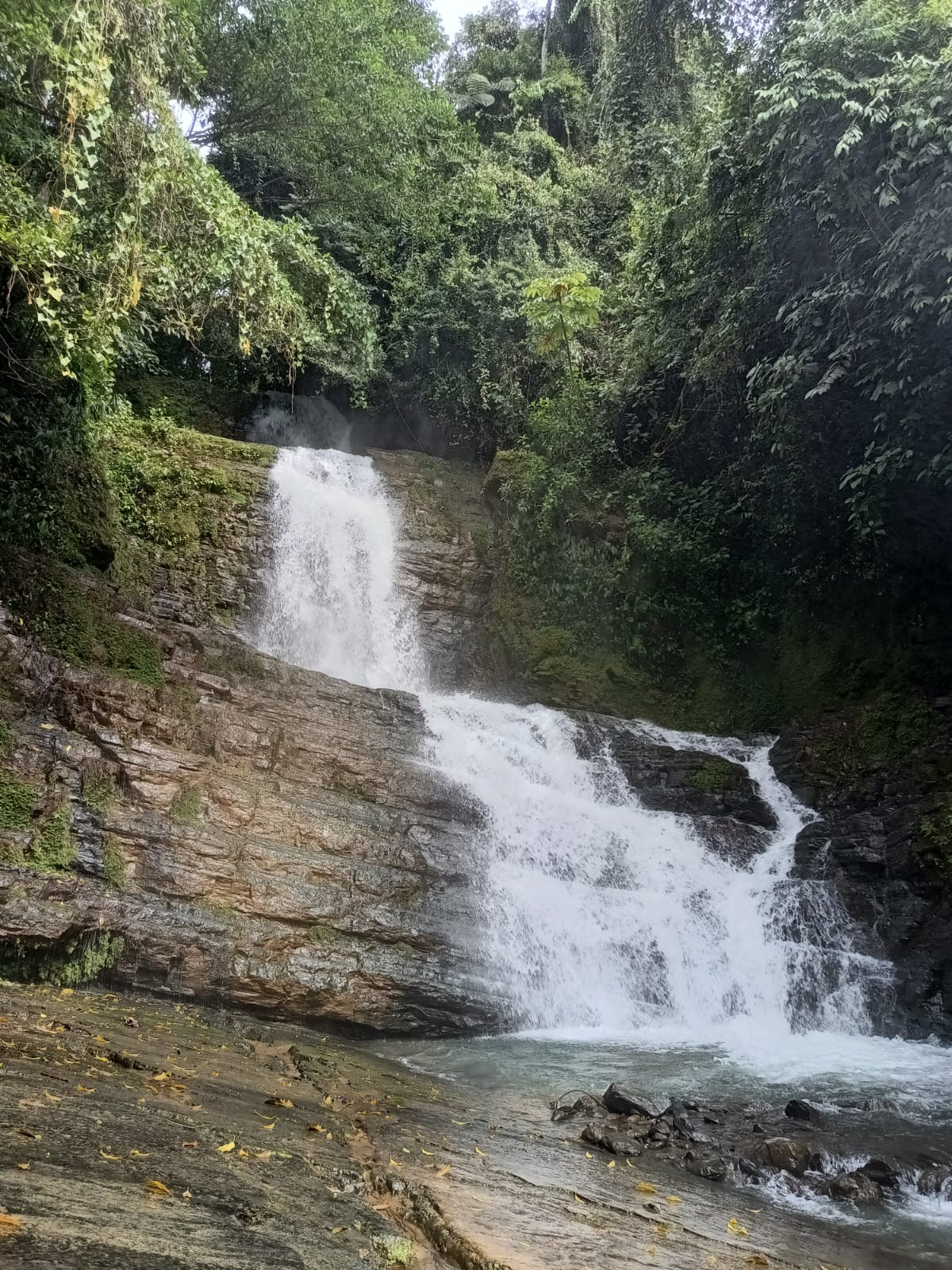 0 bed Land For Sale in Dominical, Puntarenas - thumb 3